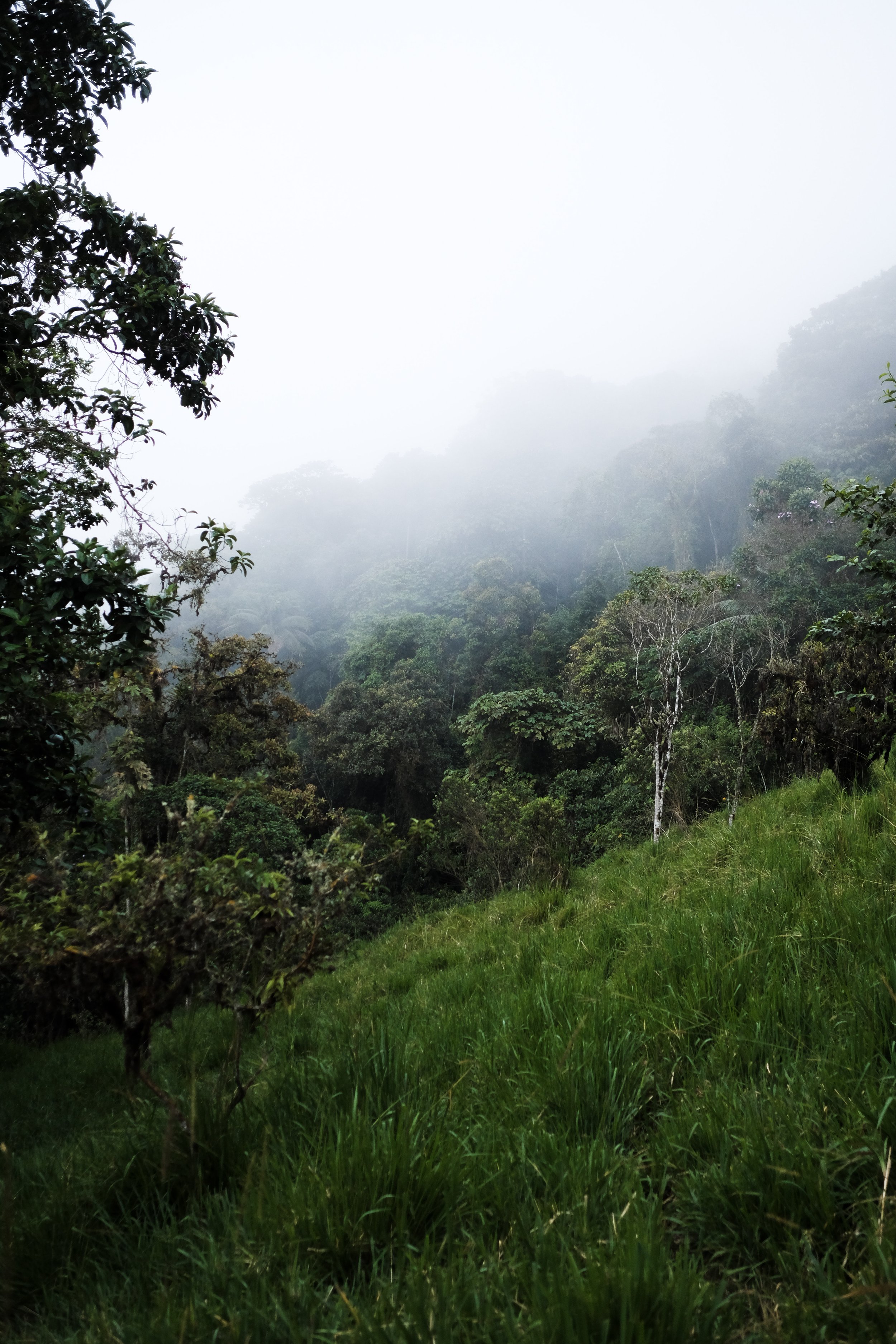 5-DSCF0135.jpg