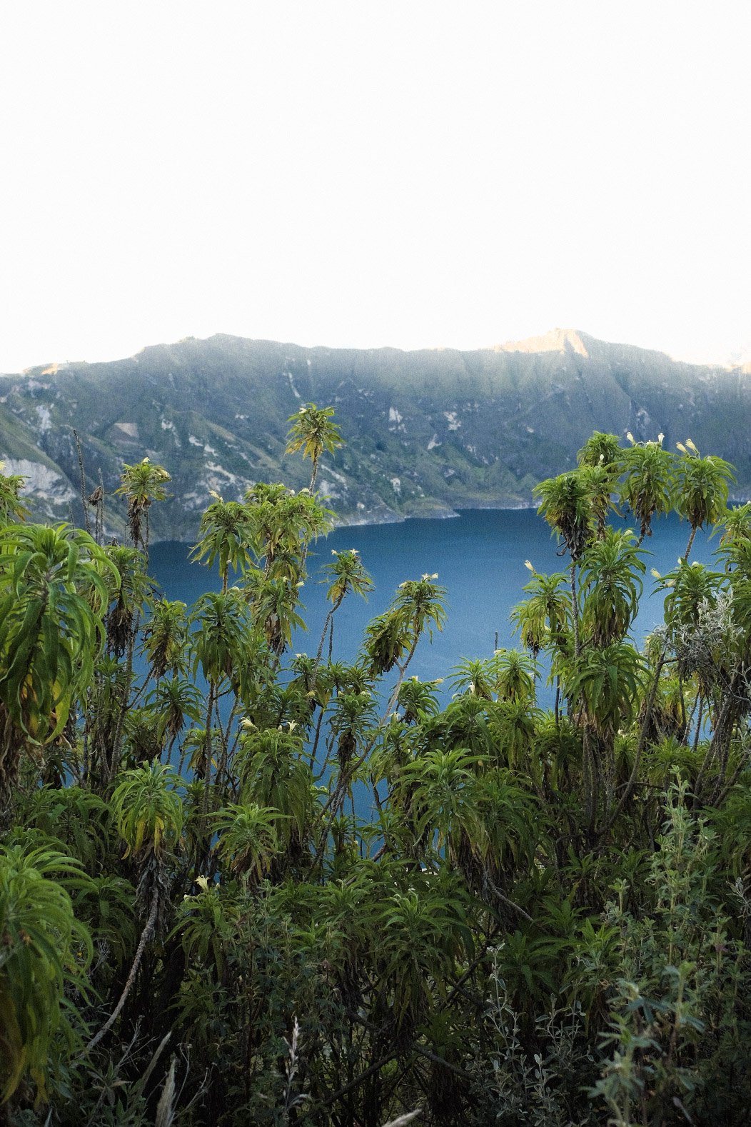 1-IMG_0907.jpg