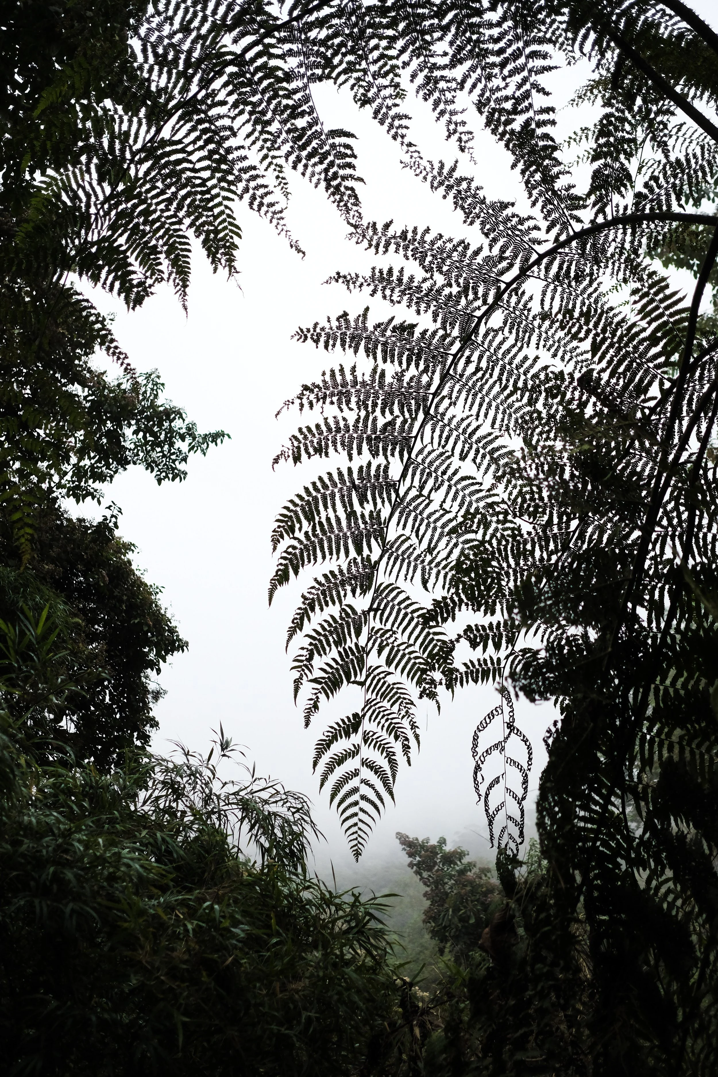 6-DSCF0131.jpg