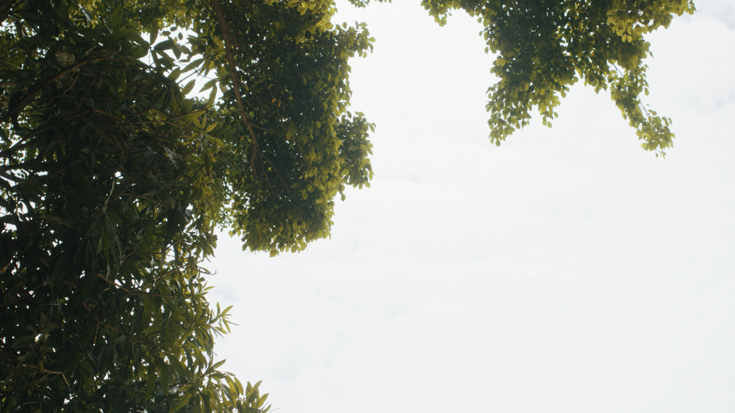 Screenshot 2023-11-27 at 2.42.03 PM.png