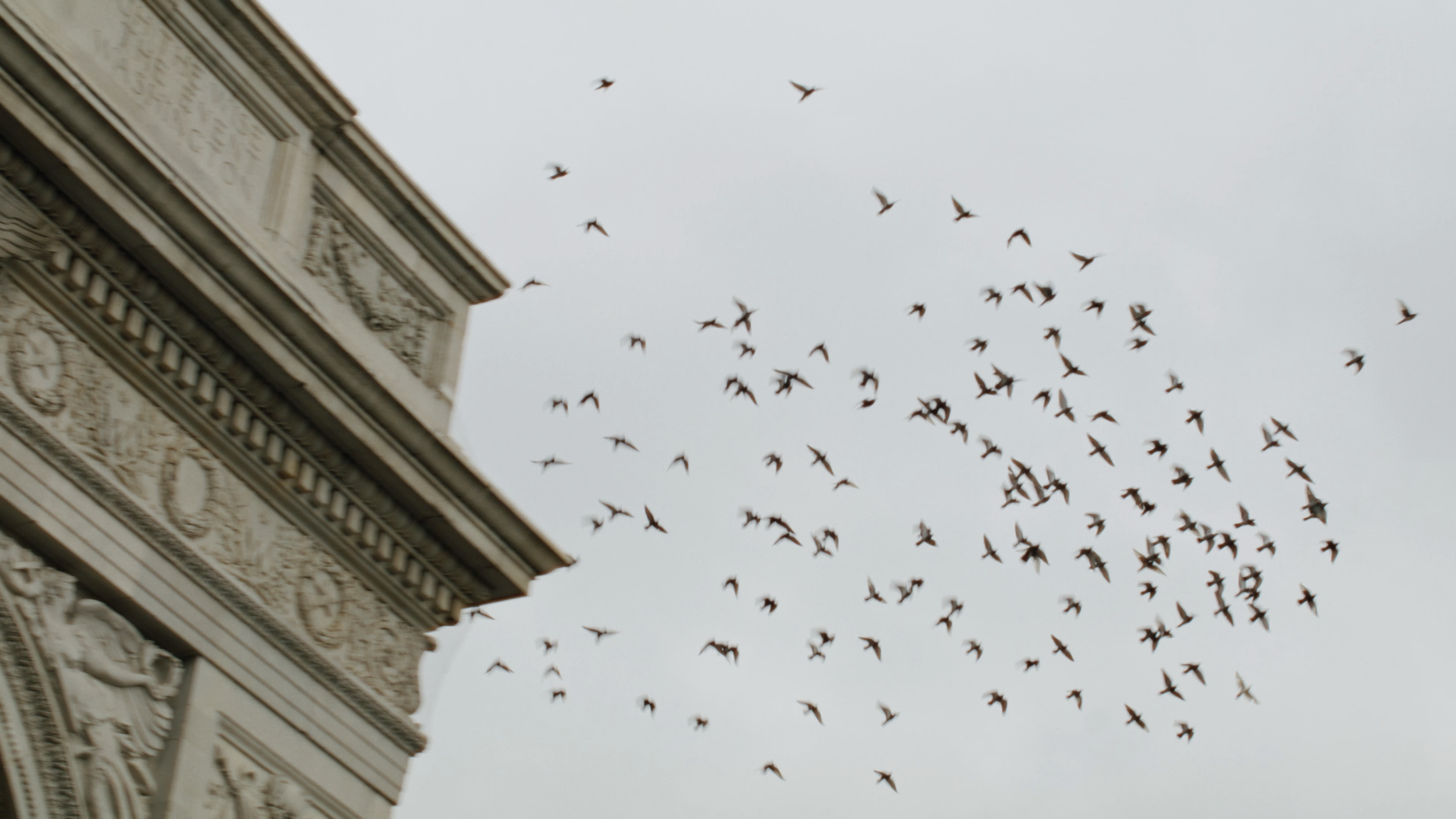 Screen Shot 2023-03-29 at 2.40.07 PM.PNG