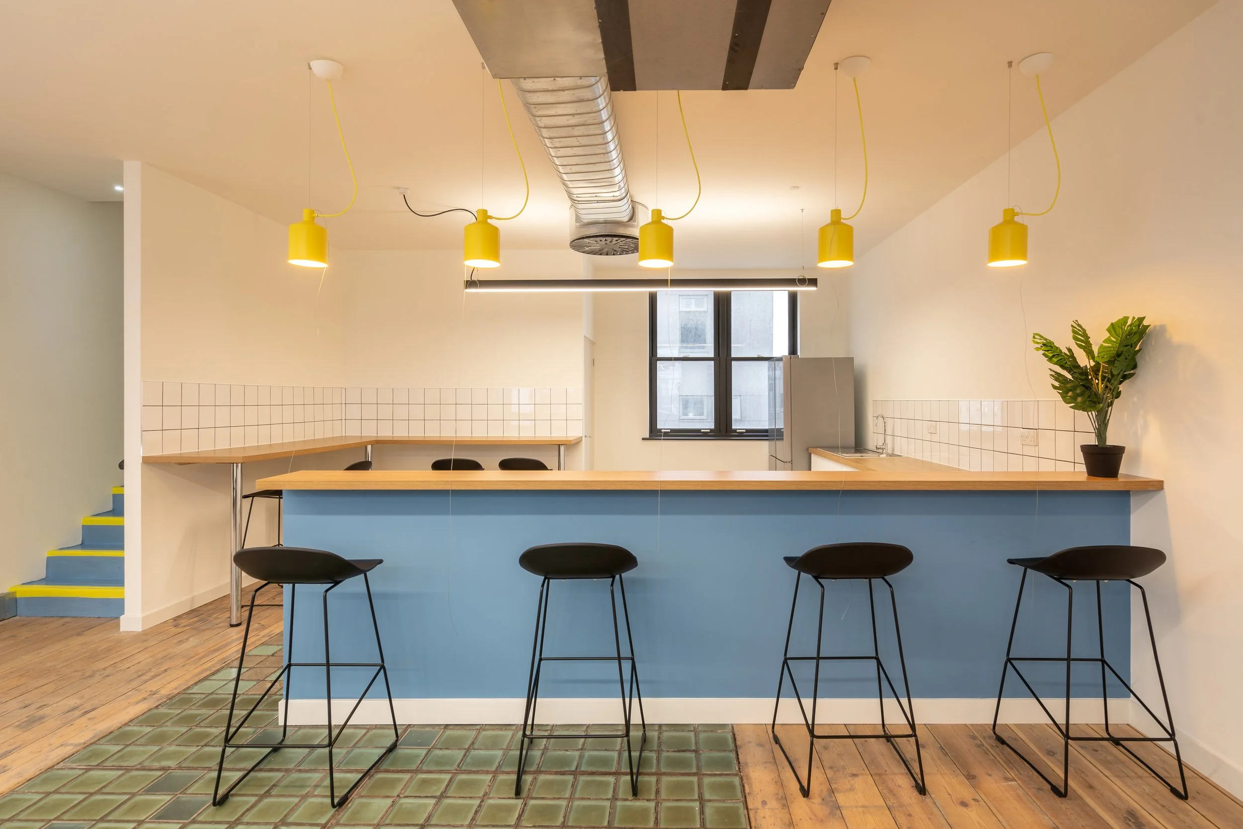 Modern kitchen with a blue counter, black bar stools, yellow pendant lights, a potted plant, and a window.