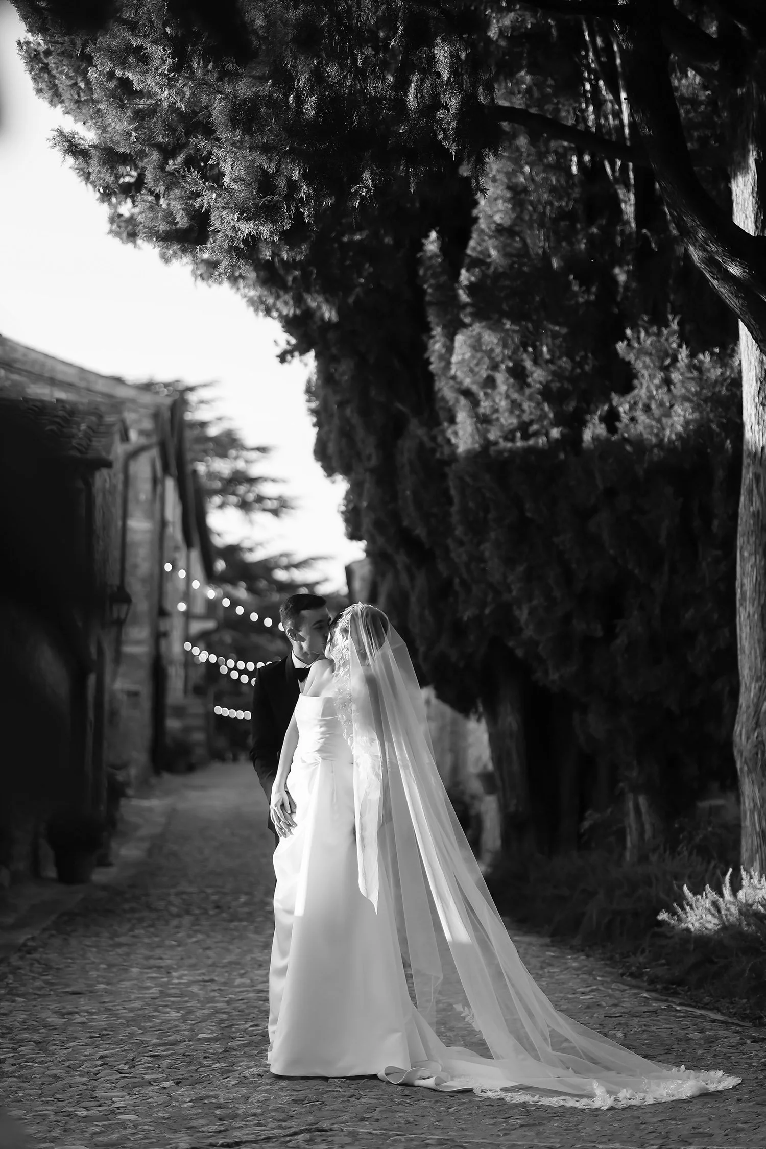 Alan & Meghan 1059.jpg