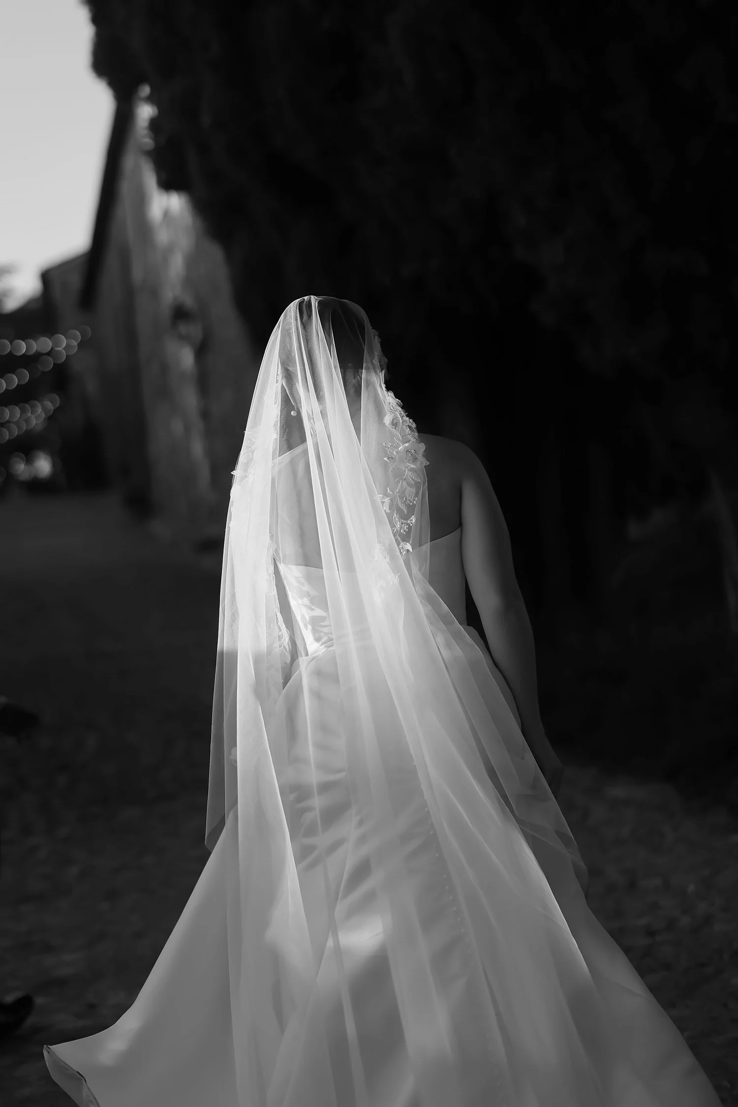 Alan & Meghan 1065.jpg
