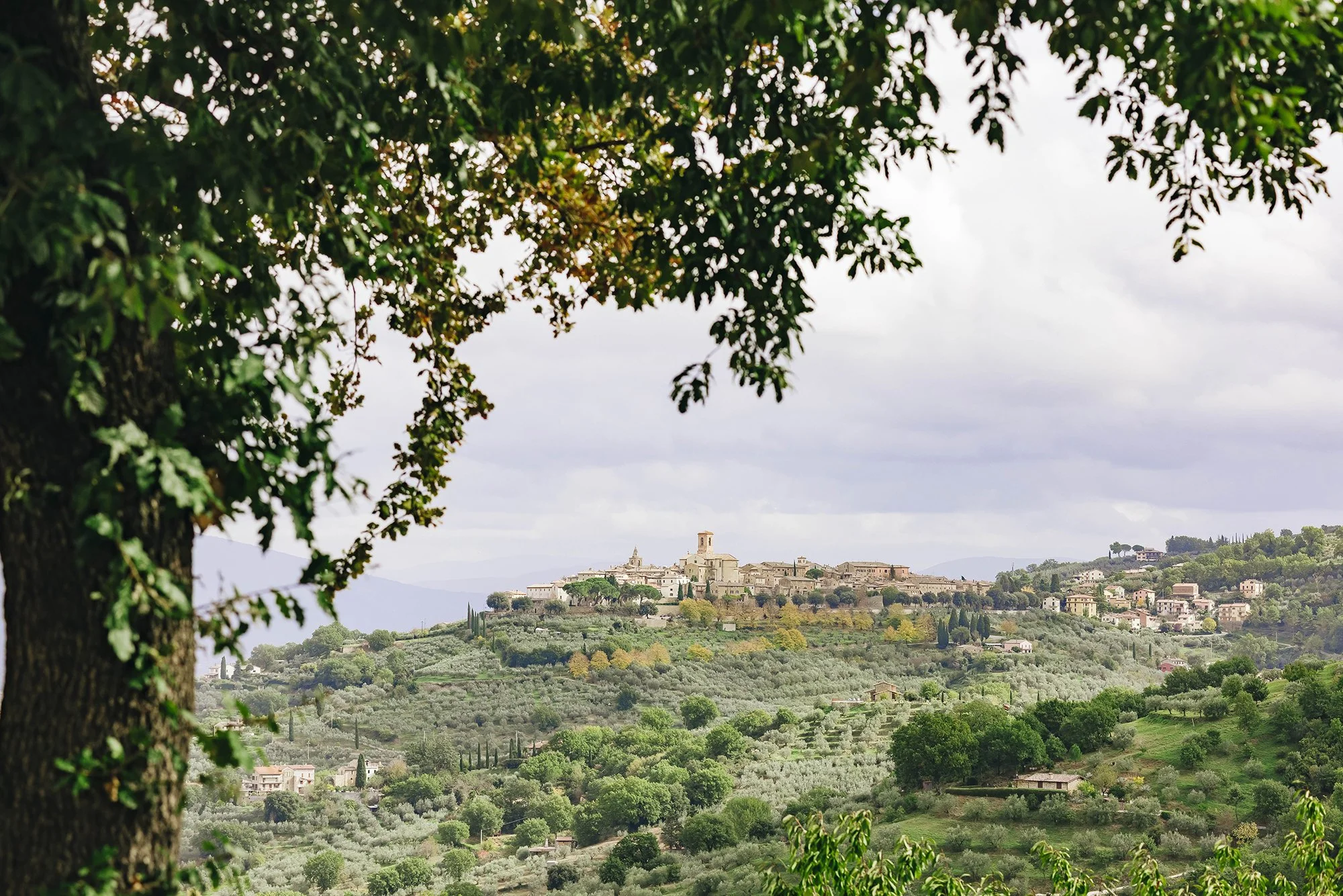 Rosciano Castle Umbria wedding 00023.jpg