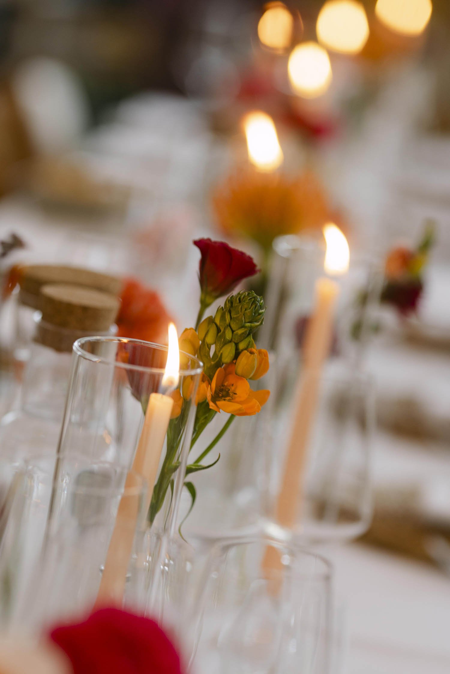 Adam & Kate 1037.jpg