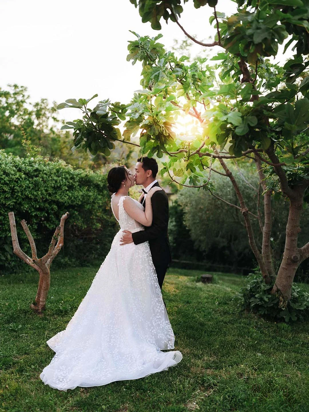 bride and groom kiss each other under a tree with the sun setting in the valley