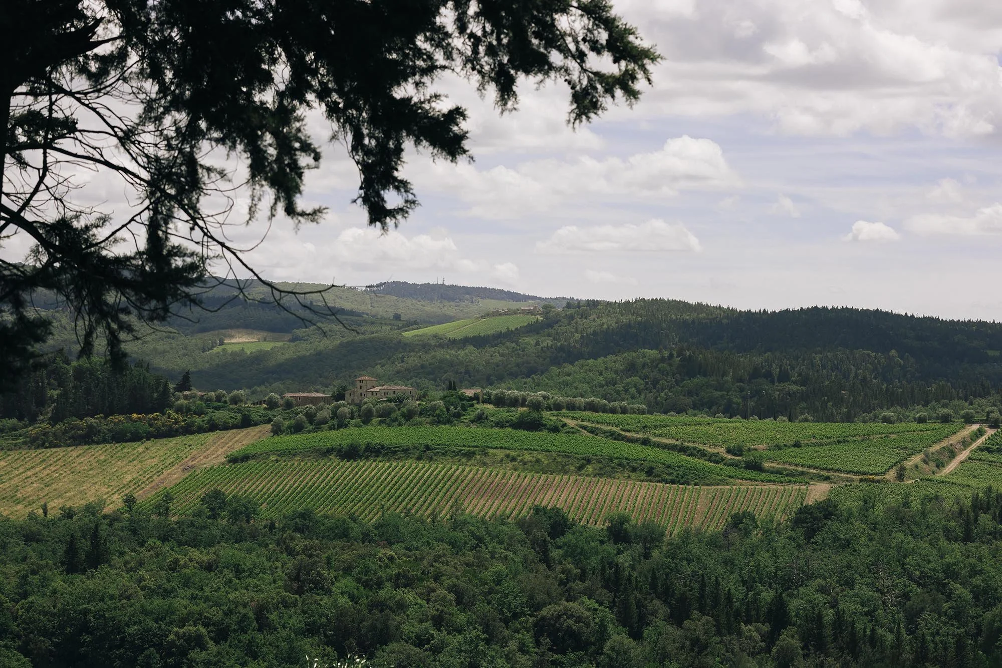 wedding tuscany, quercia al poggio 00026.jpg