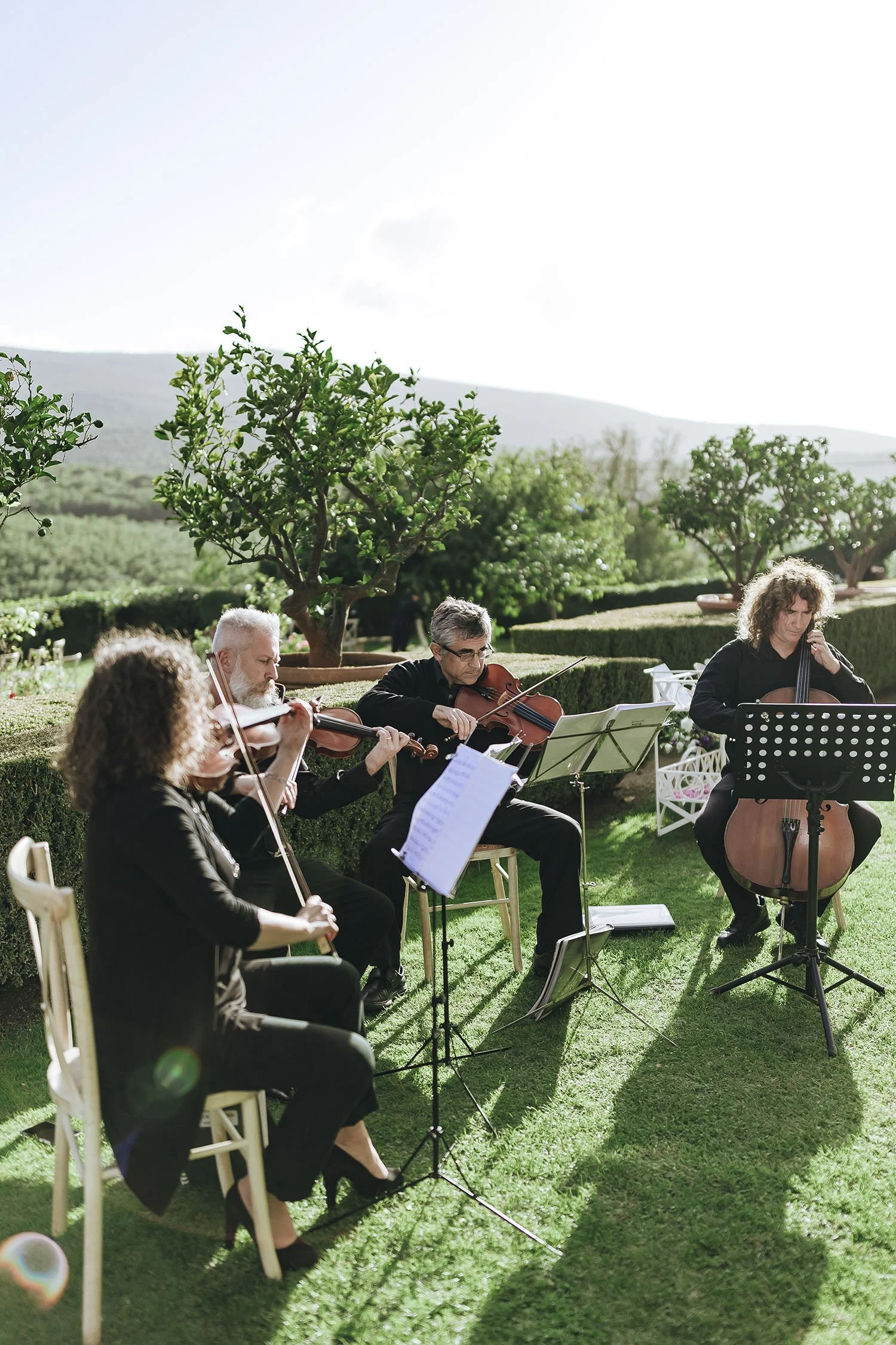 string quartet playing during the cocktail