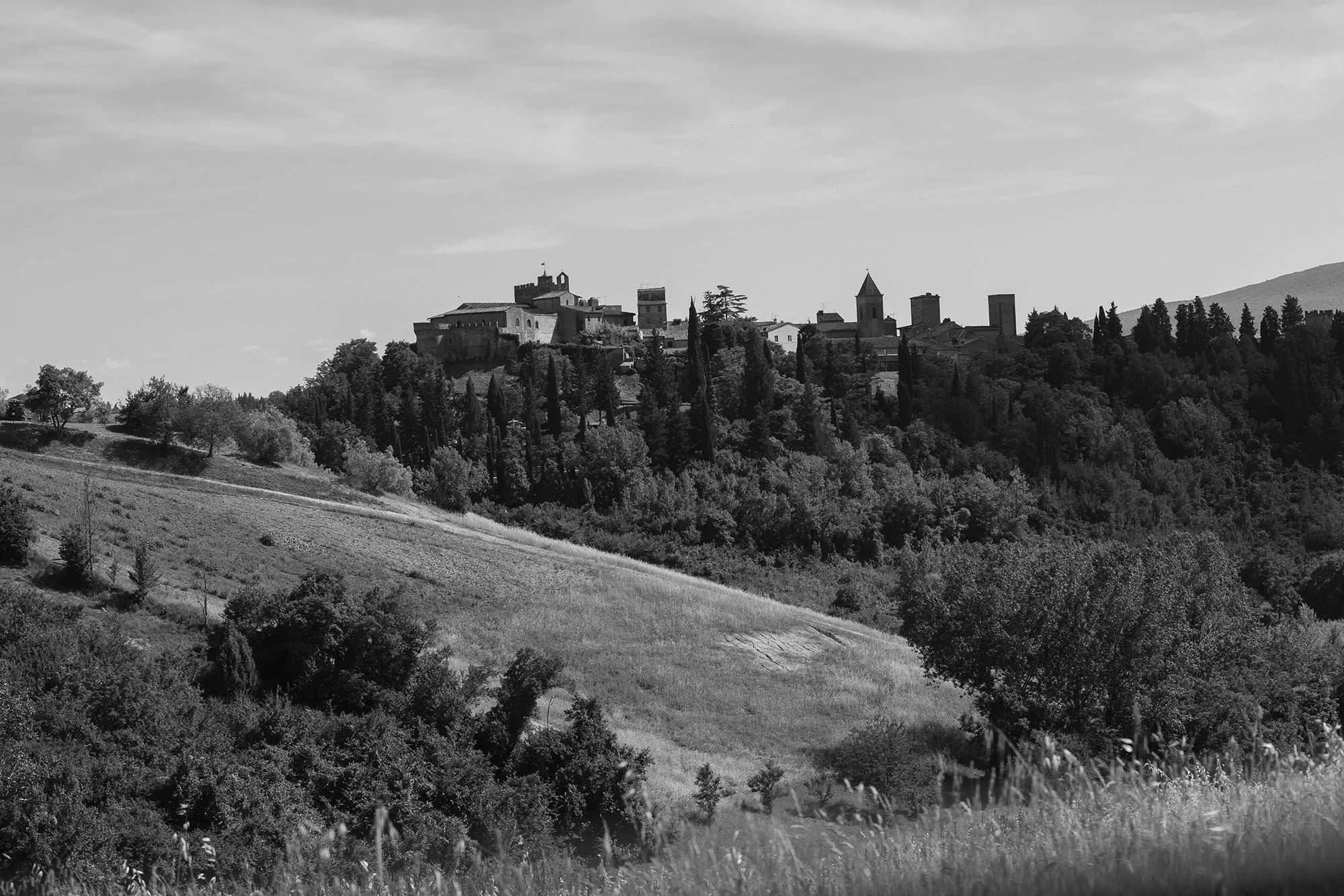 wedding tuscany, quercia al poggio 00083.jpg