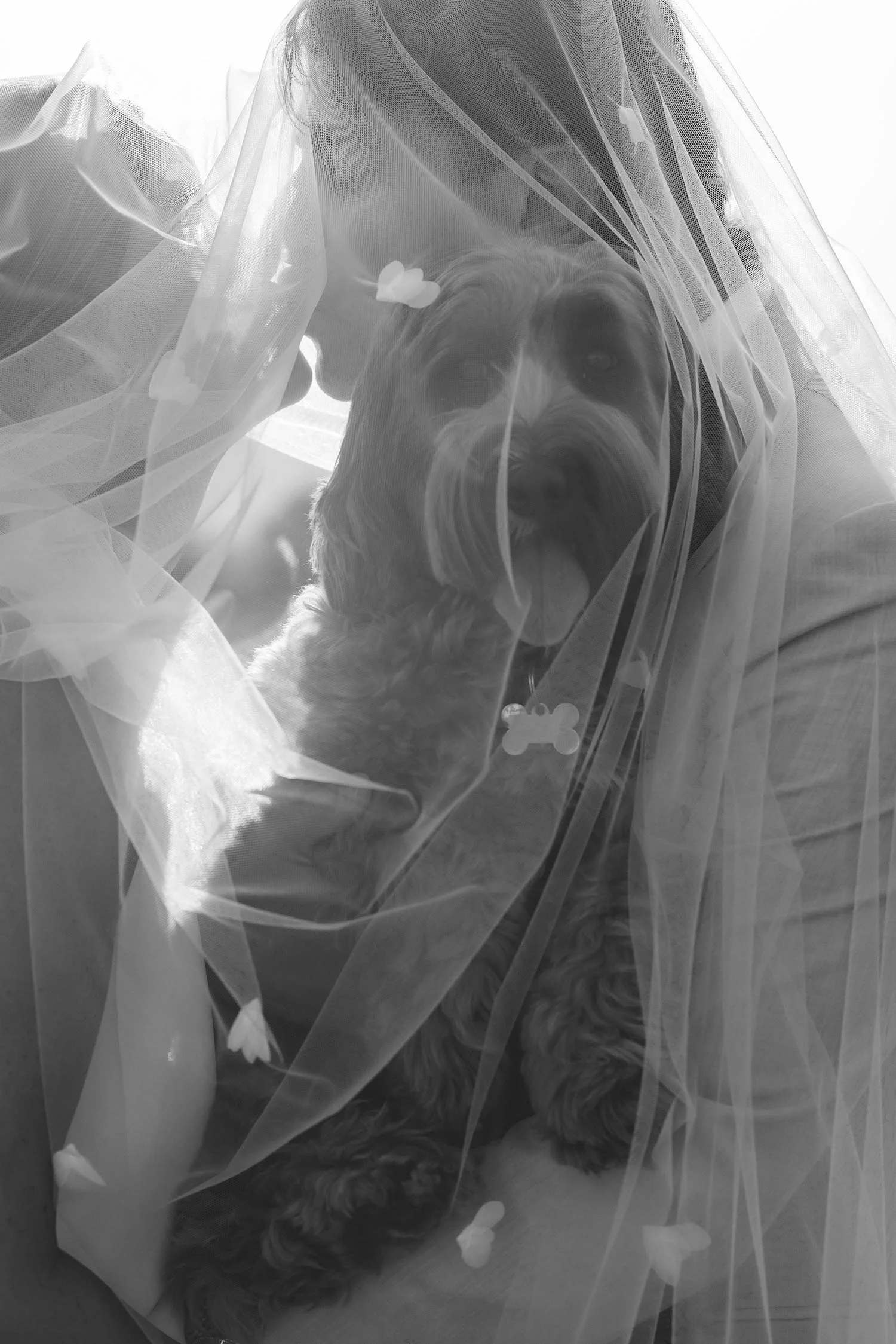 Sebastien & Marie 1029.jpg