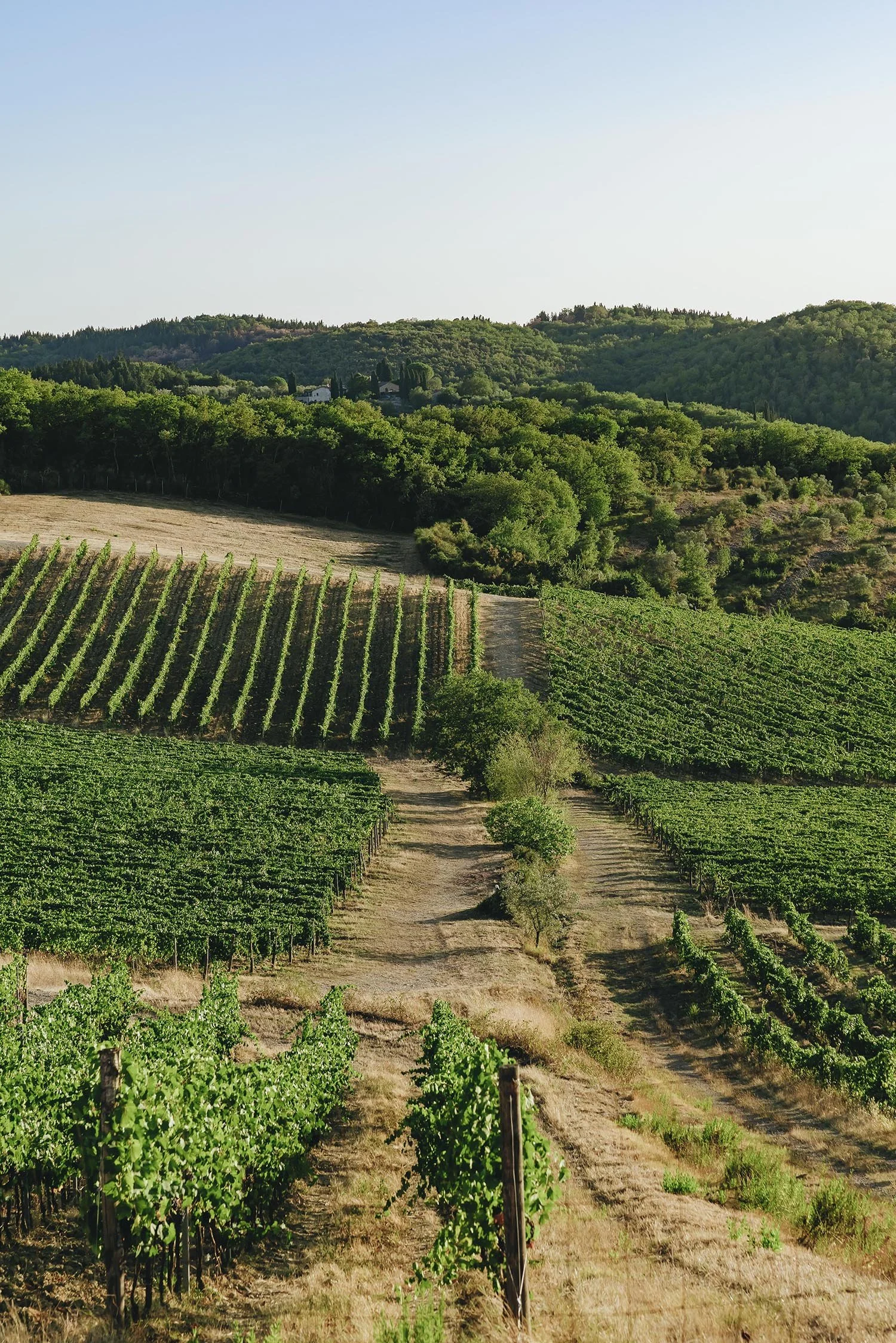 Le Filigare destination wedding in Chianti Tuscany 161.jpg