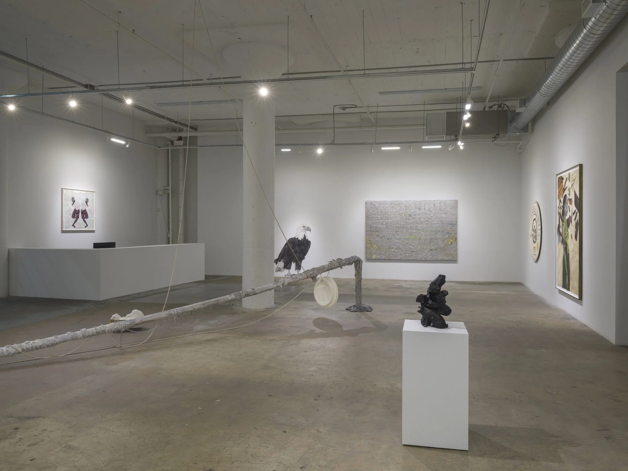   Installation photo credit: Jeff McLane  