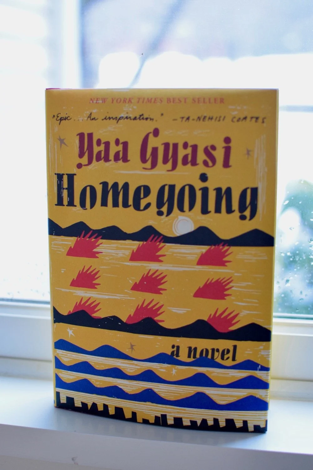 Homegoing — Marmalade and Mustardseed