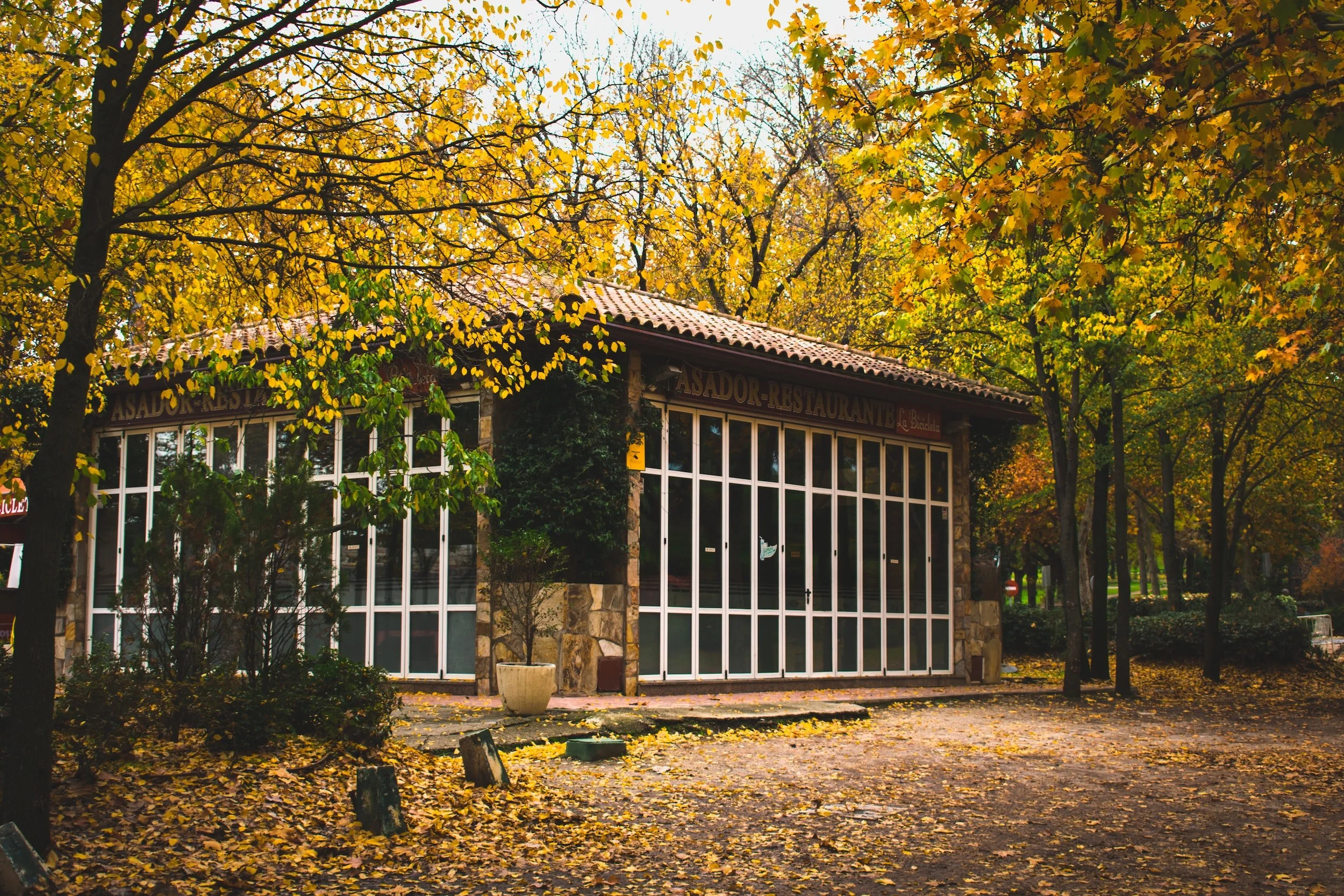 unsplash-image-YIyXSmYFICM.jpg