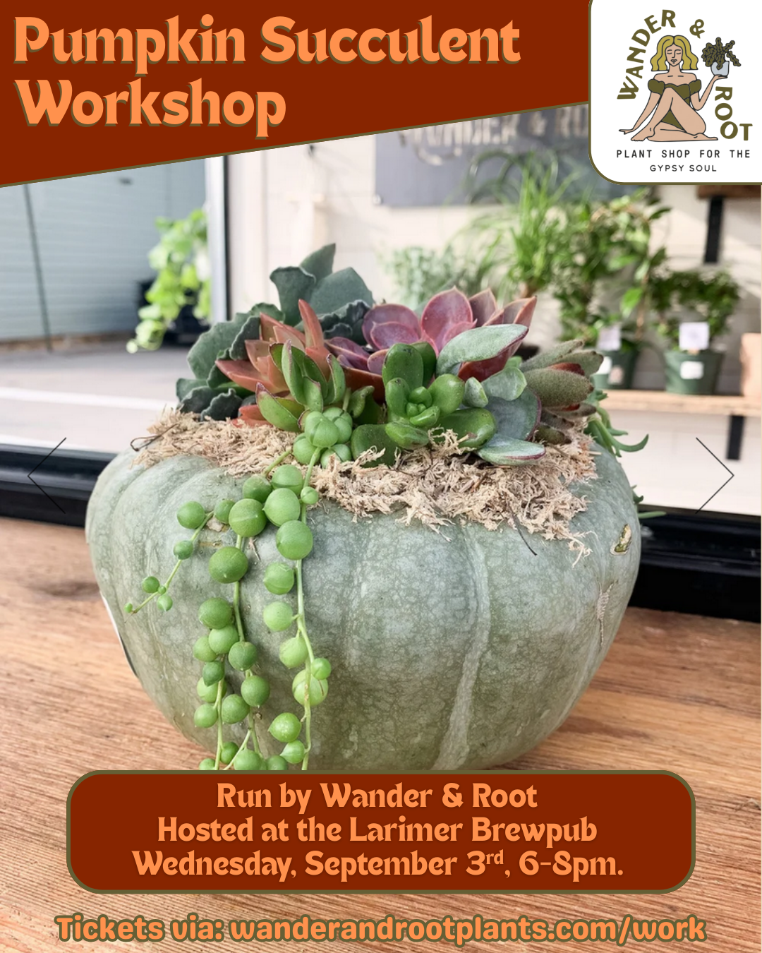 Pumpkin Succulent Workshop with Root & Wander Plants @ The Larimer Brewpub