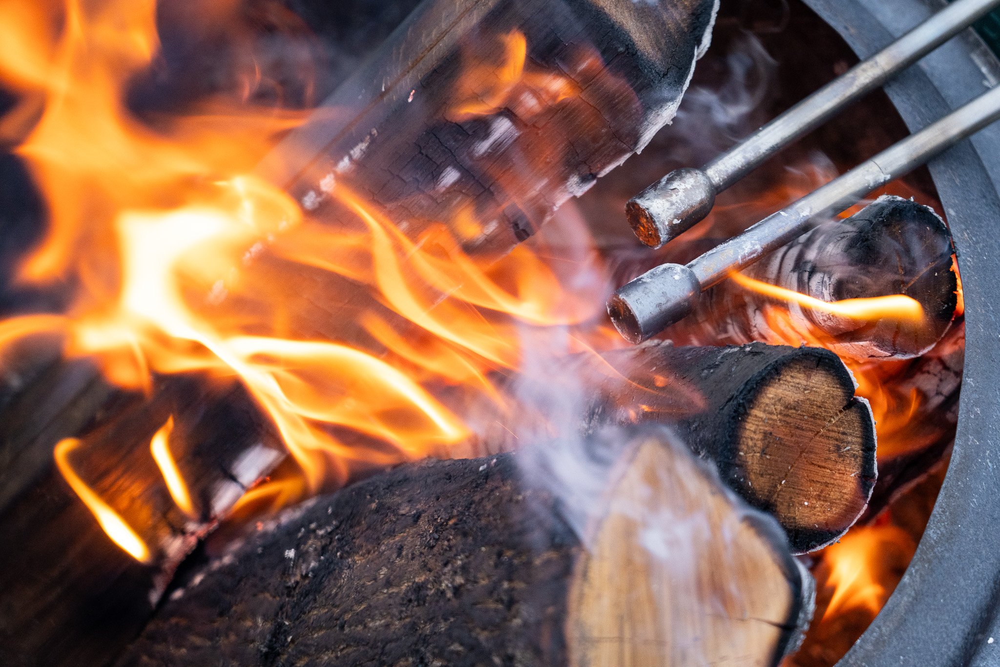 Bierstacheln in Larimer