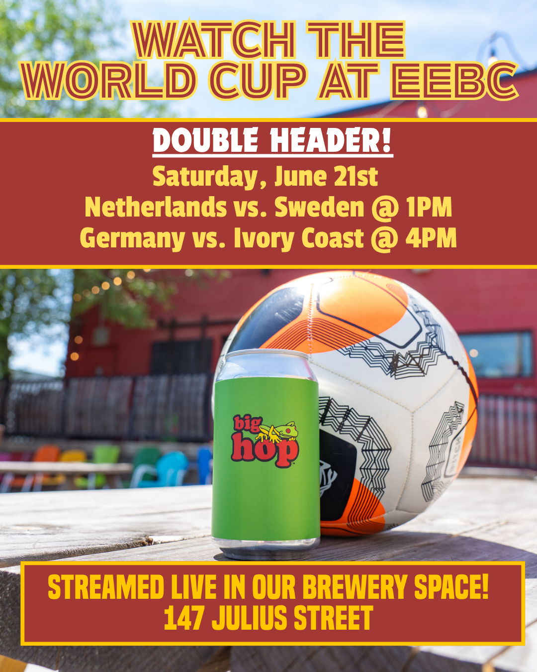 World Cup Double Header: Netherlands vs. Sweden & Germany vs. Ivory Coast