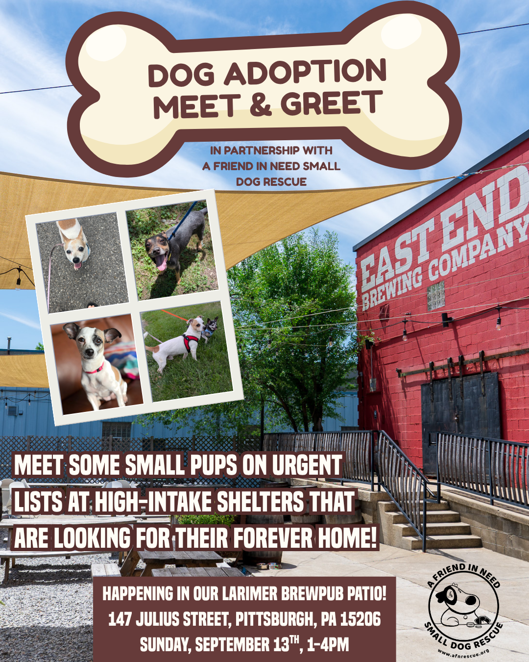 Dog Adoption Meet & Greet with AFN Dog Rescue