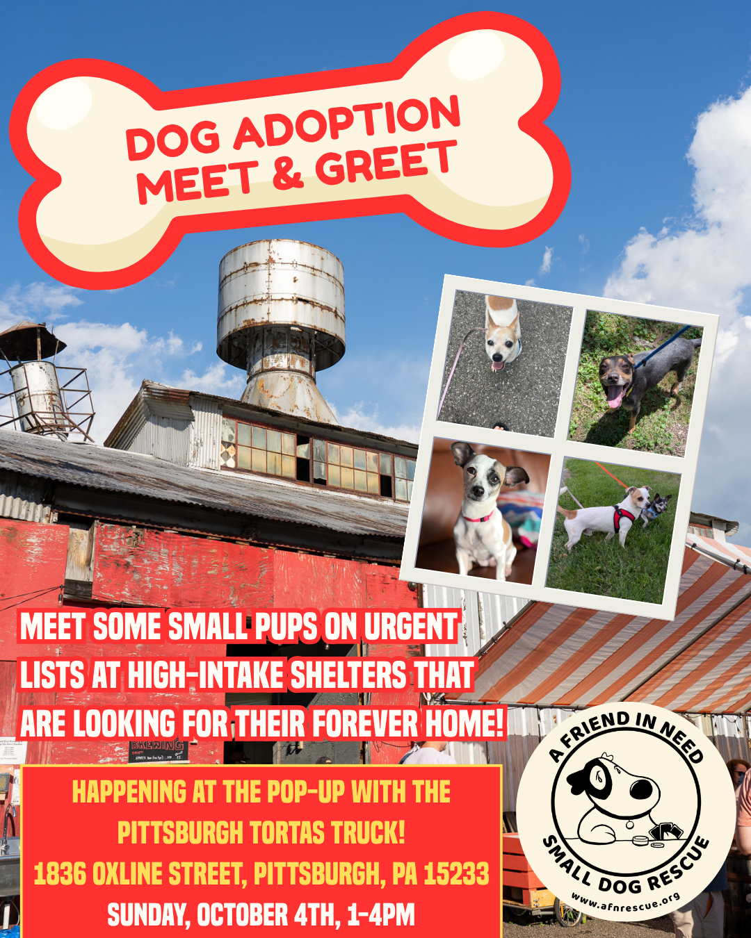 Dog Adoption Meet & Greet with AFN Dog Rescue at the Pop-Up!