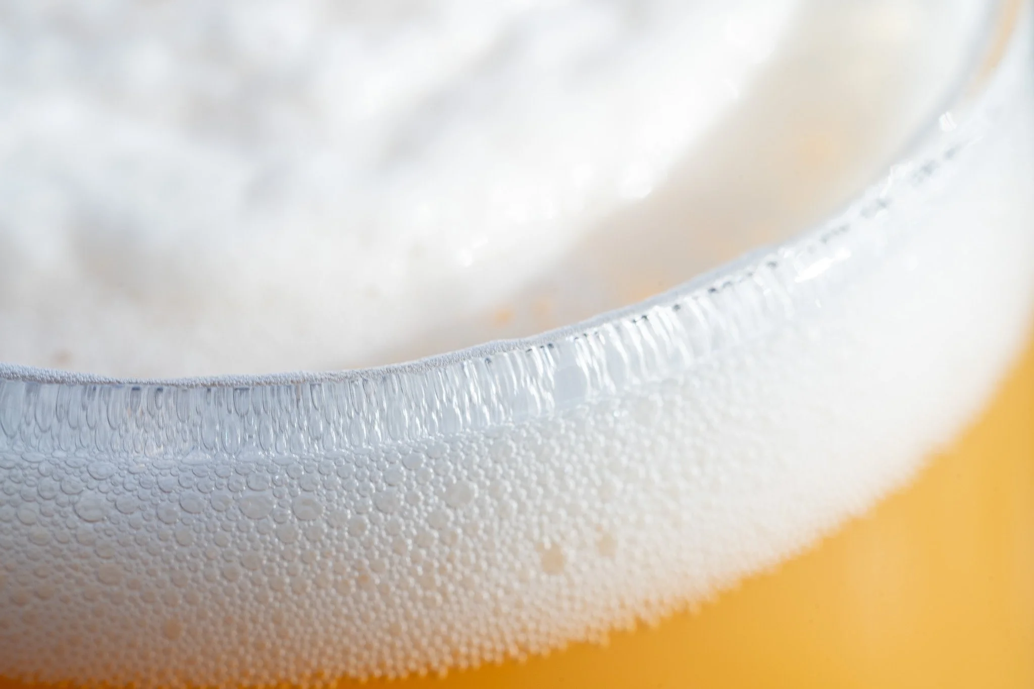 Foamy beer up close photo