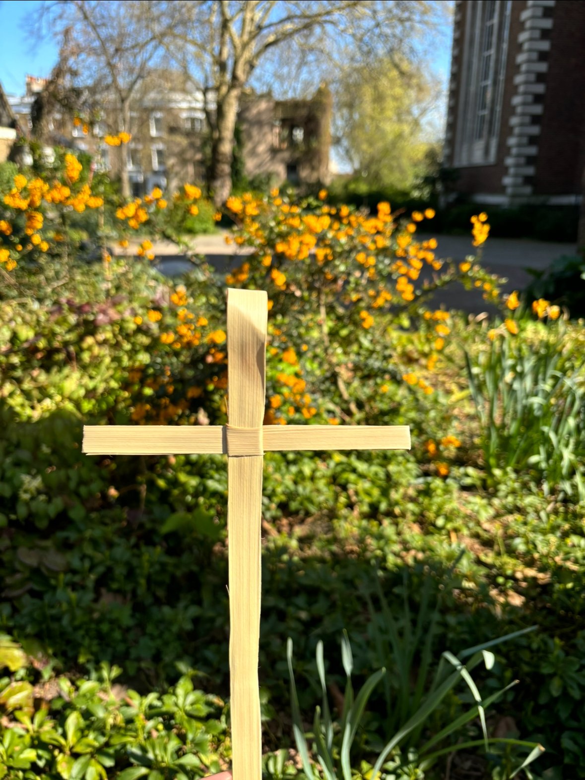 St Mary's Weekly Eco Tip: Lent