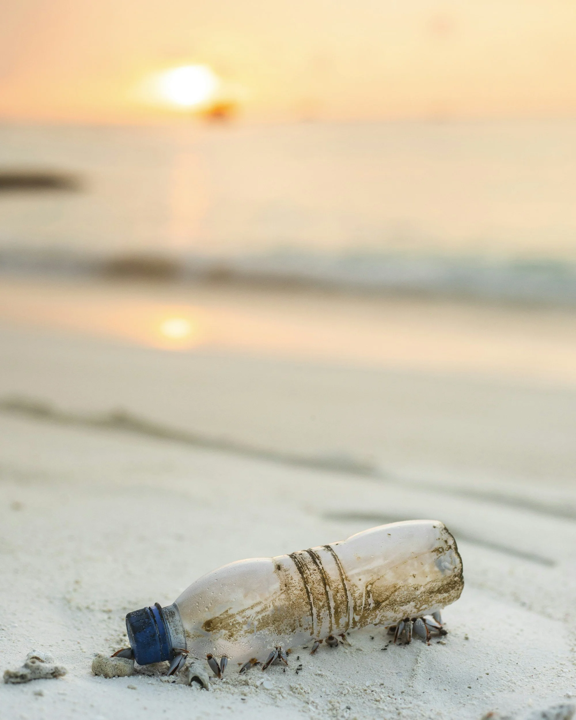 St Mary's Weekly Eco Tip: Reduce Single-use Plastics