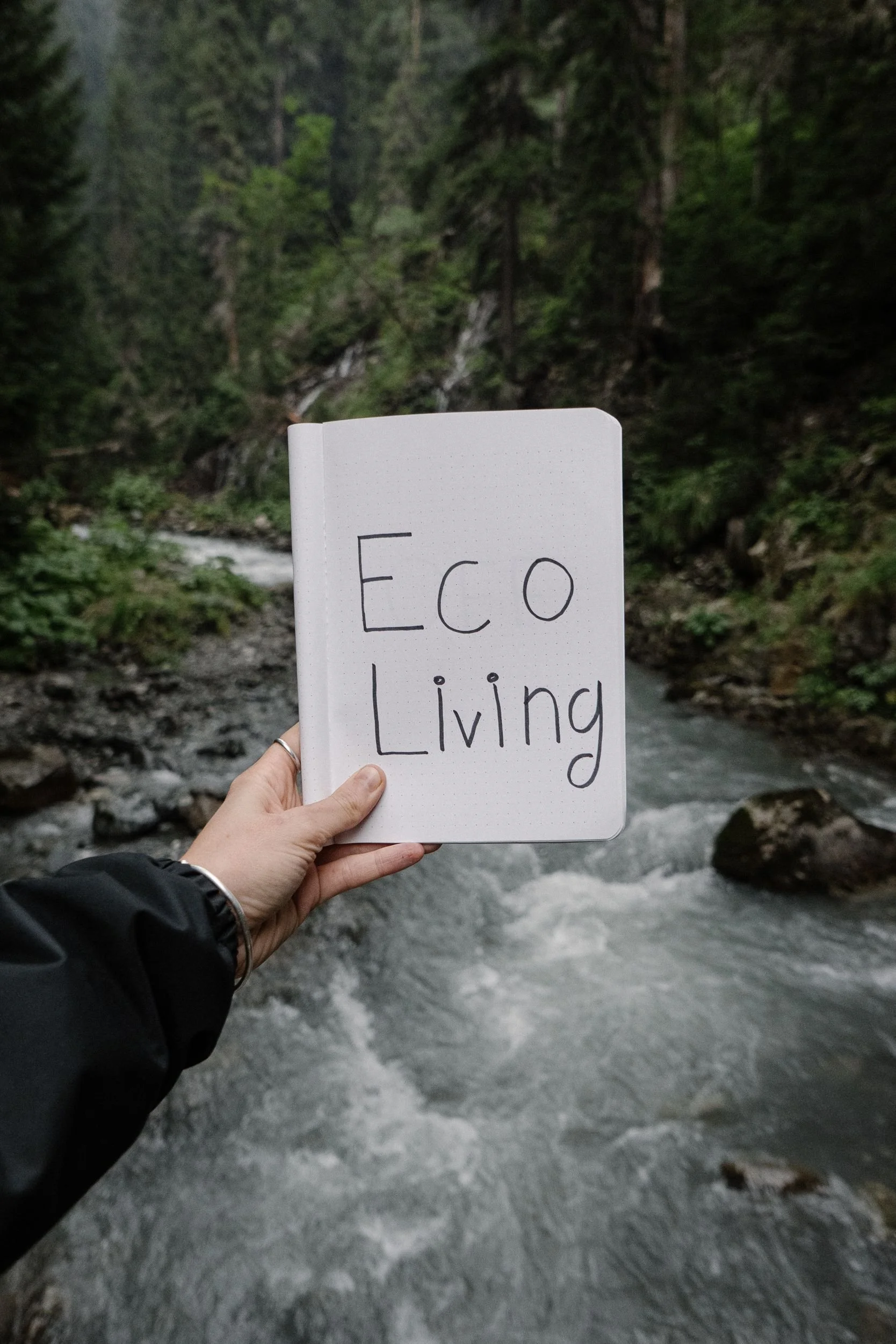 St Mary's Weekly Eco Tip: Eco Lifestyle Audit