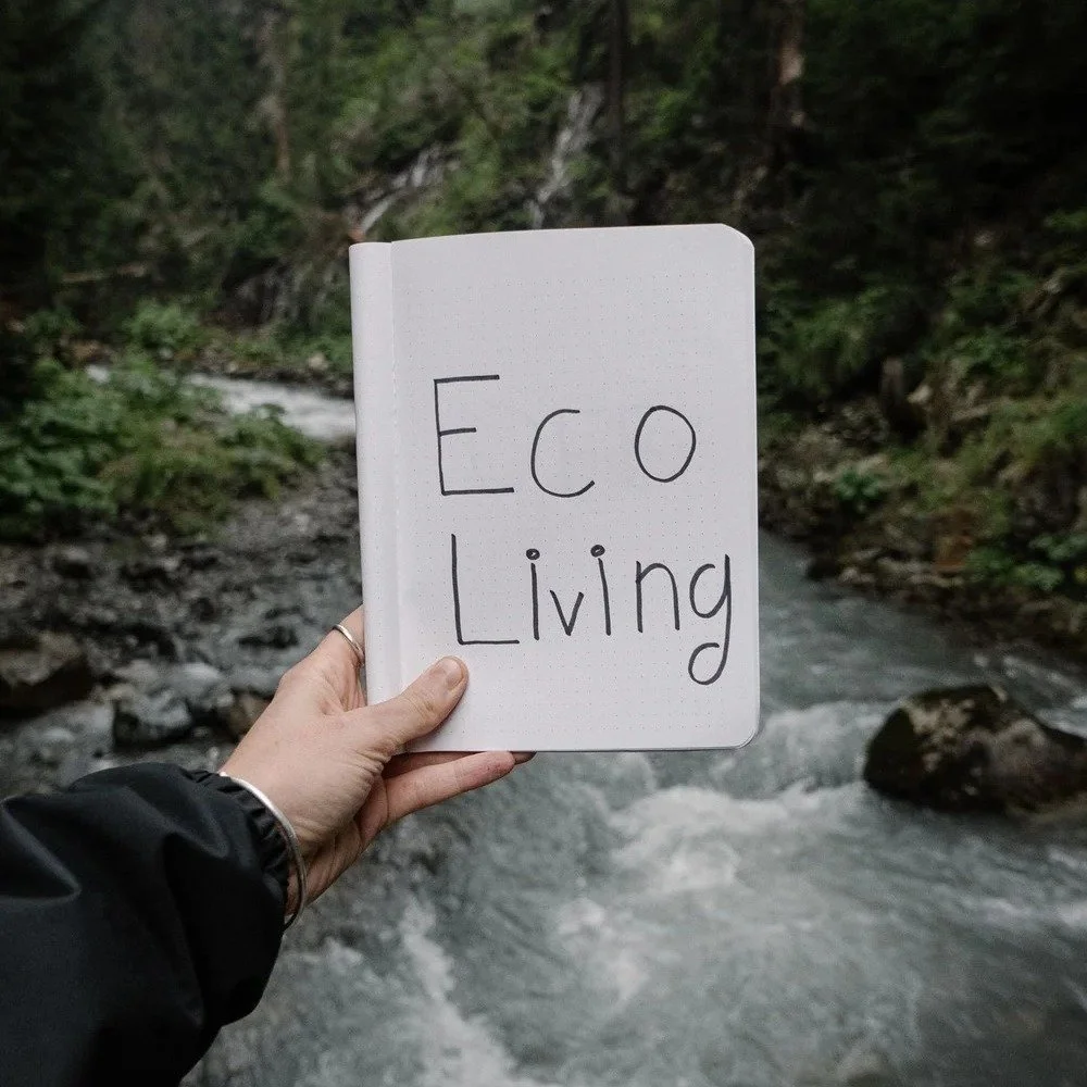 St Mary's Weekly Eco Tip: Eco Lifestyle Audit

Why not spend a few minutes filling out an online eco lifestyle audit? This will help you to identify the areas of your life where you can make positive eco changes, and encourage you in areas where you 
