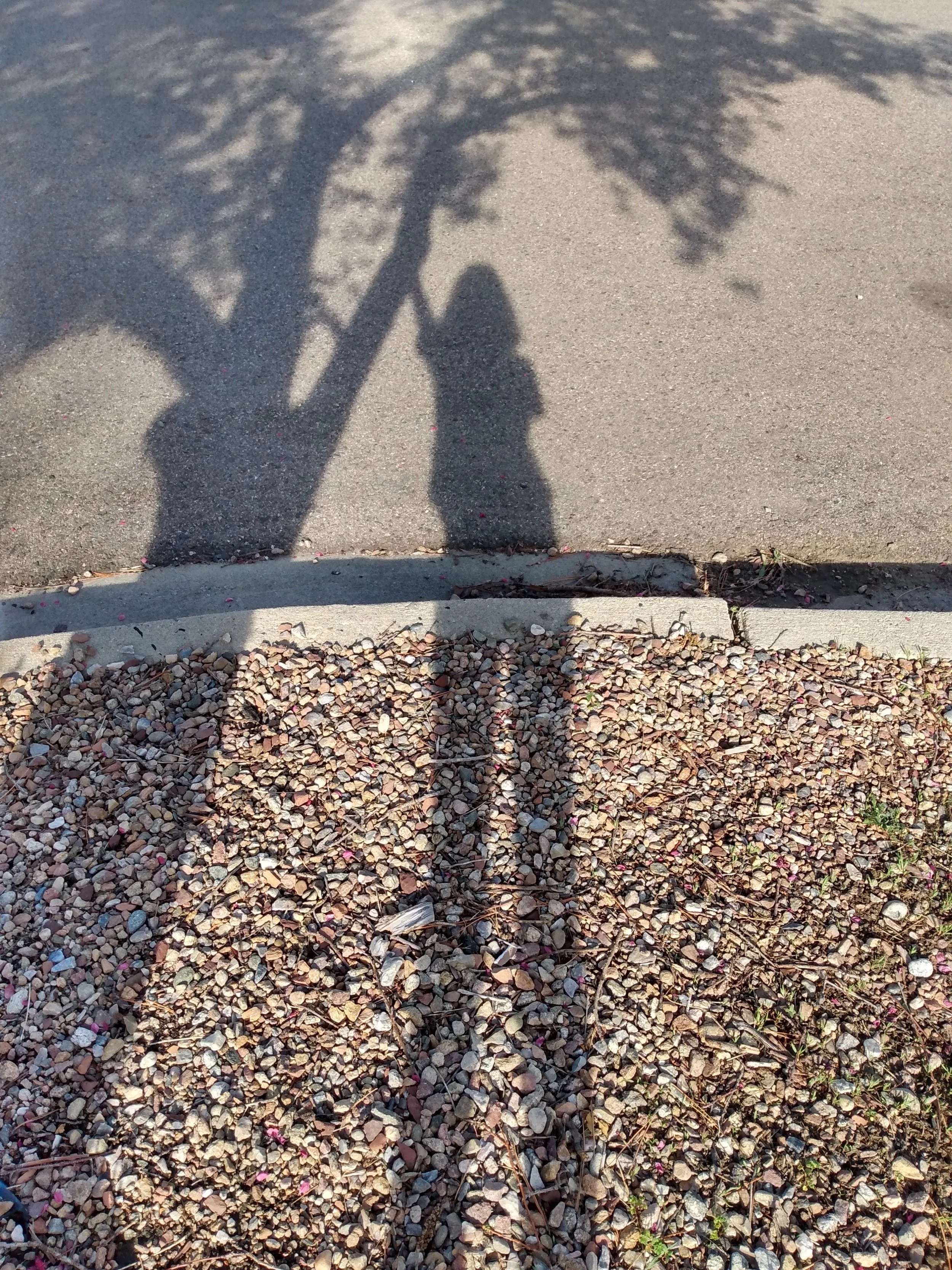 As a very short person I always find it fun how in the evenings if I face the right way it makes my shadow at least a few feet taller. For some
reason this has always given me loads of hope even though I know I will always be short. — Avery
