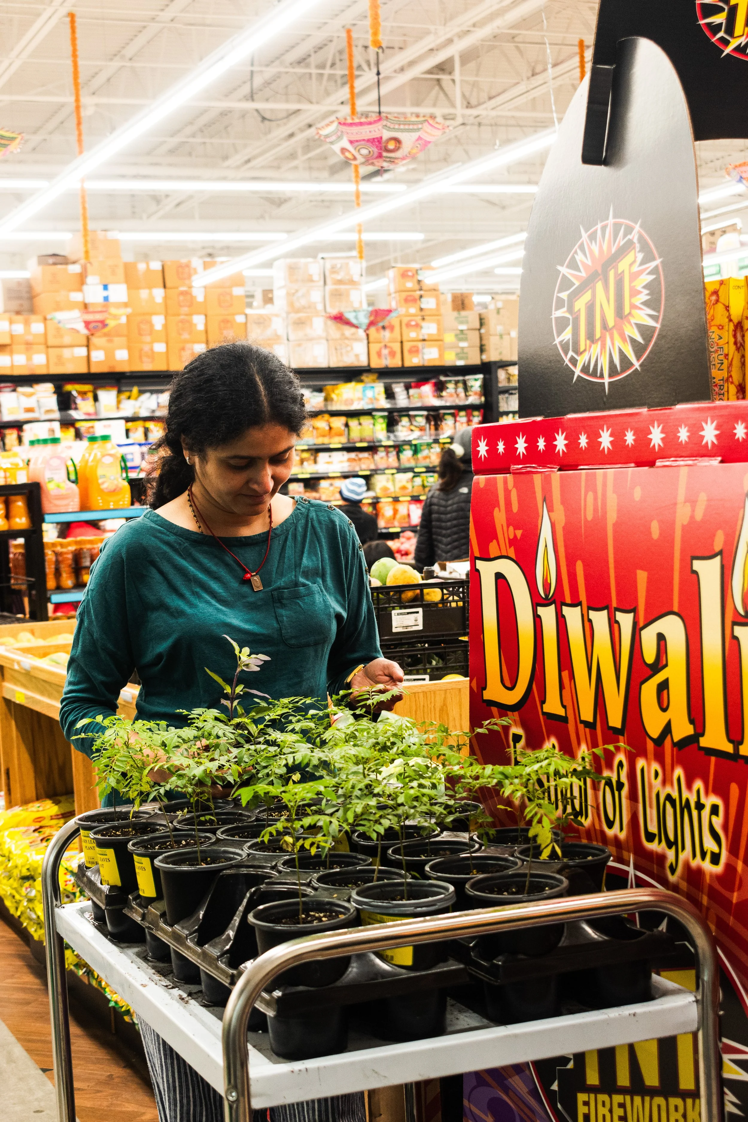 The grocery store where I visited and I saw a few people buying the tulsi plant. One lady was buying a tulsi plant that is again the everyday thing you pray and worship. This Indian basil plant is often known as a tulsi plant. I liked the background 