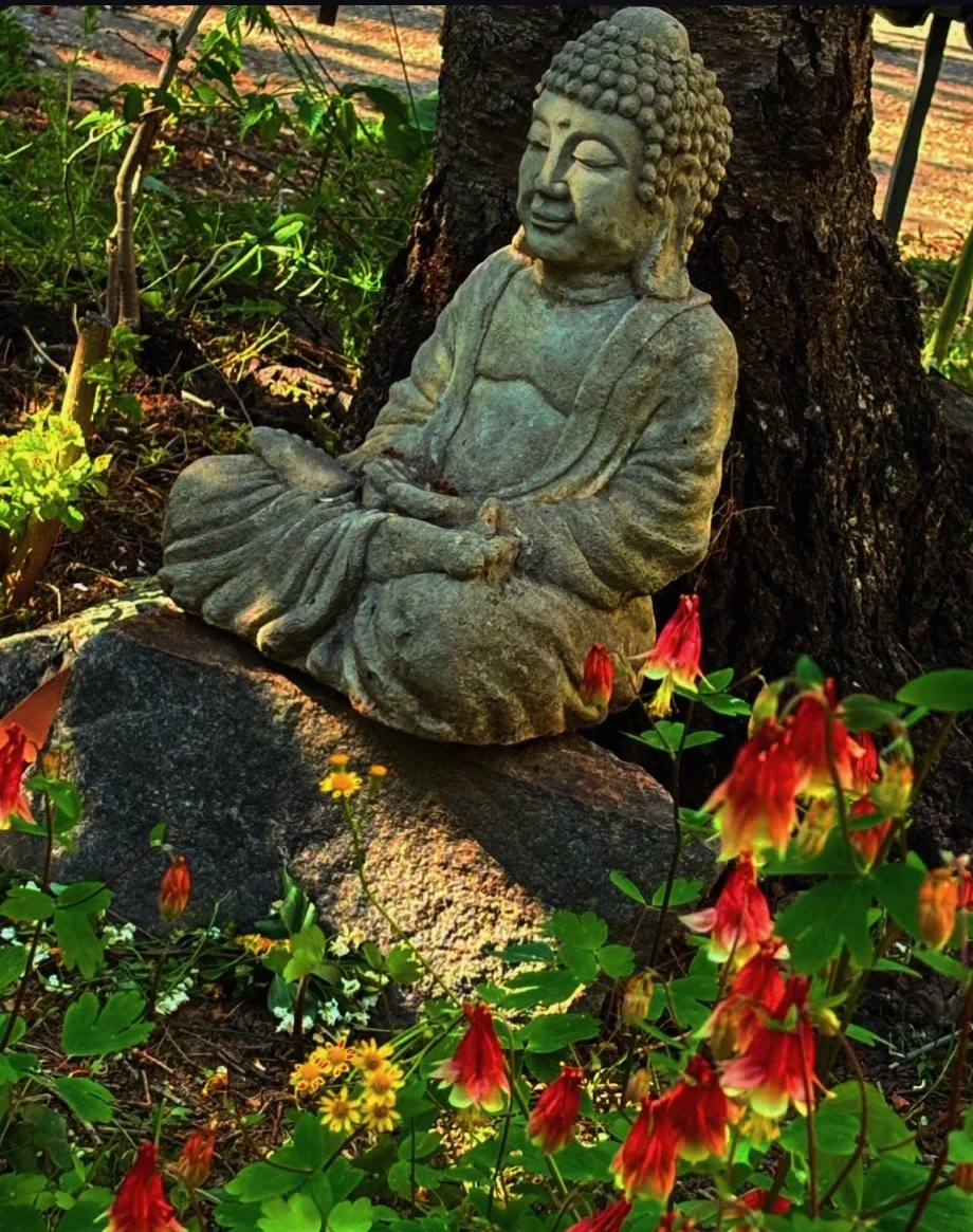 Sun dappled garden,    
betwixt wild flowers and bird song,    
I find peace
   — Rachel Gucwa