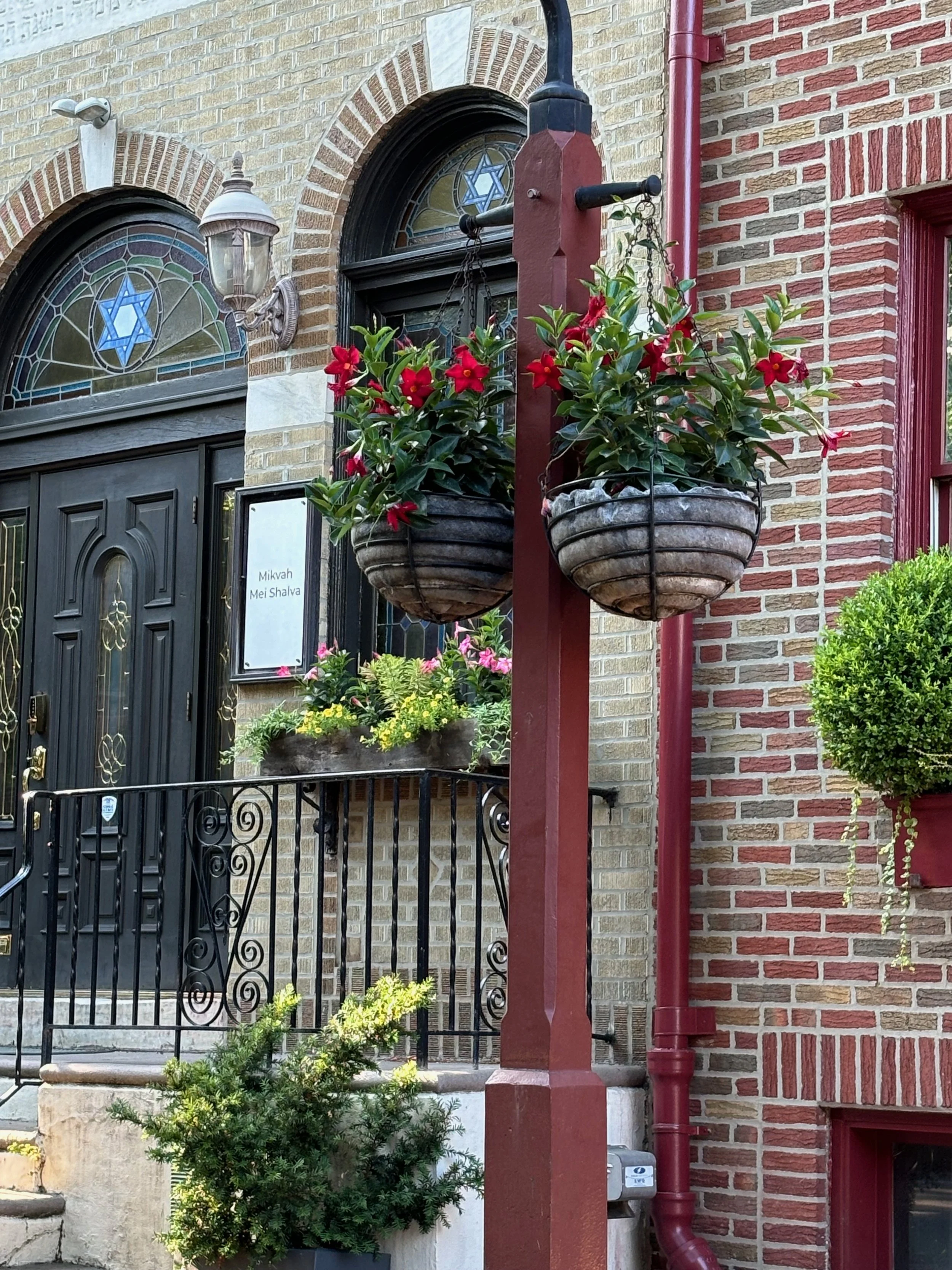 Flowers bloom outside the    
old synagogue, claiming    
where’s there life, there’s hope
   — Rachel Gucwa