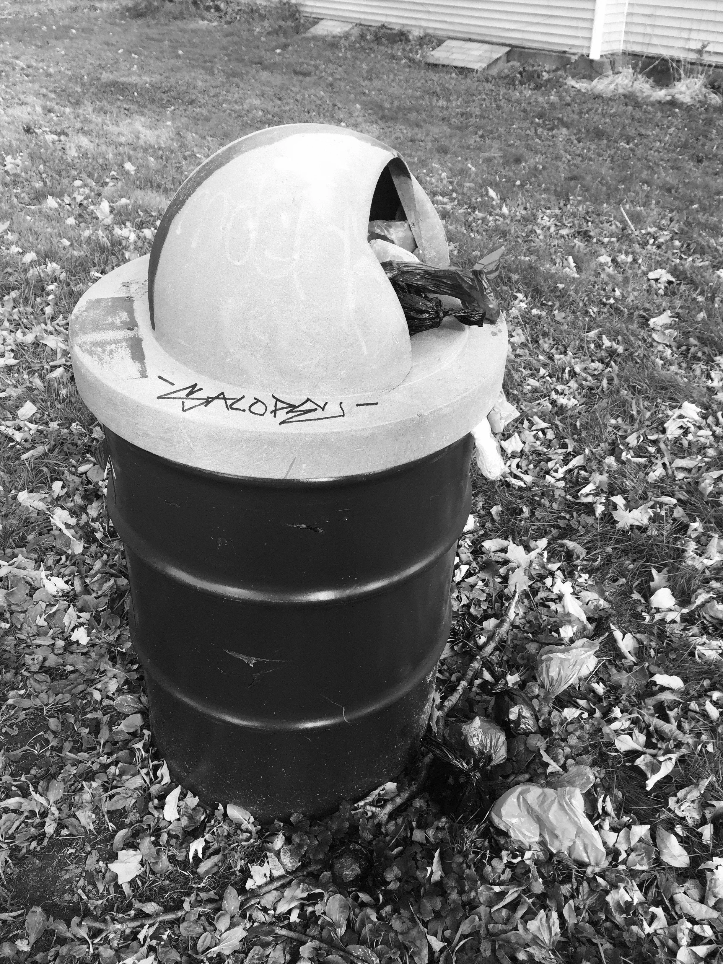 I believe we are called by God to steward the earth.  It’s frustrating that Fredericton has limited recycling services and a lack of eco-friendly options.     

— Emma