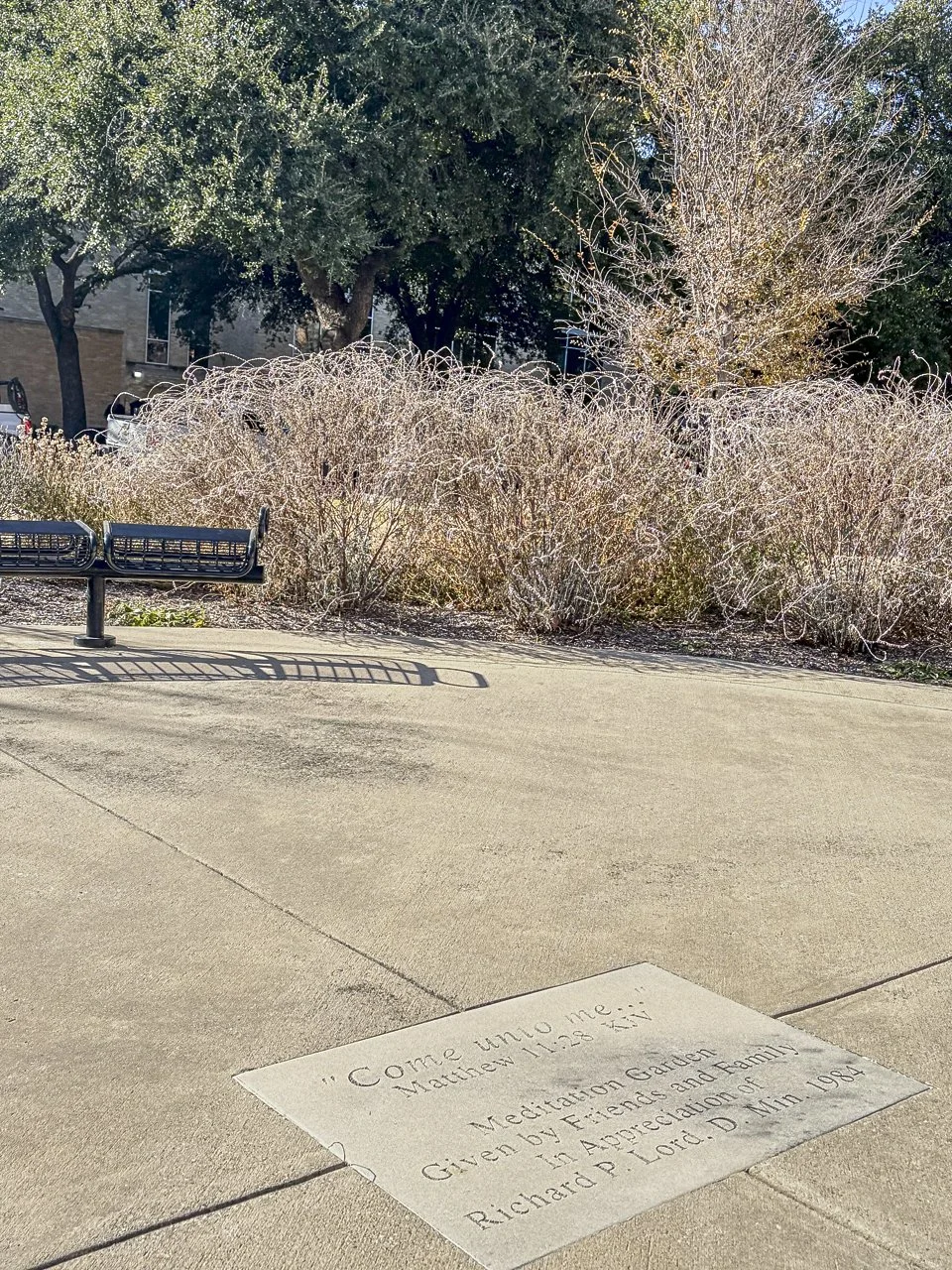 "This is one of my favorite spaces on campus. In summer it's bright and full of flowers; in spring there are butterflies everywhere, flitting around; and winter brings calm stillness. It is a perfect place for meditating on life, alone, or with frien