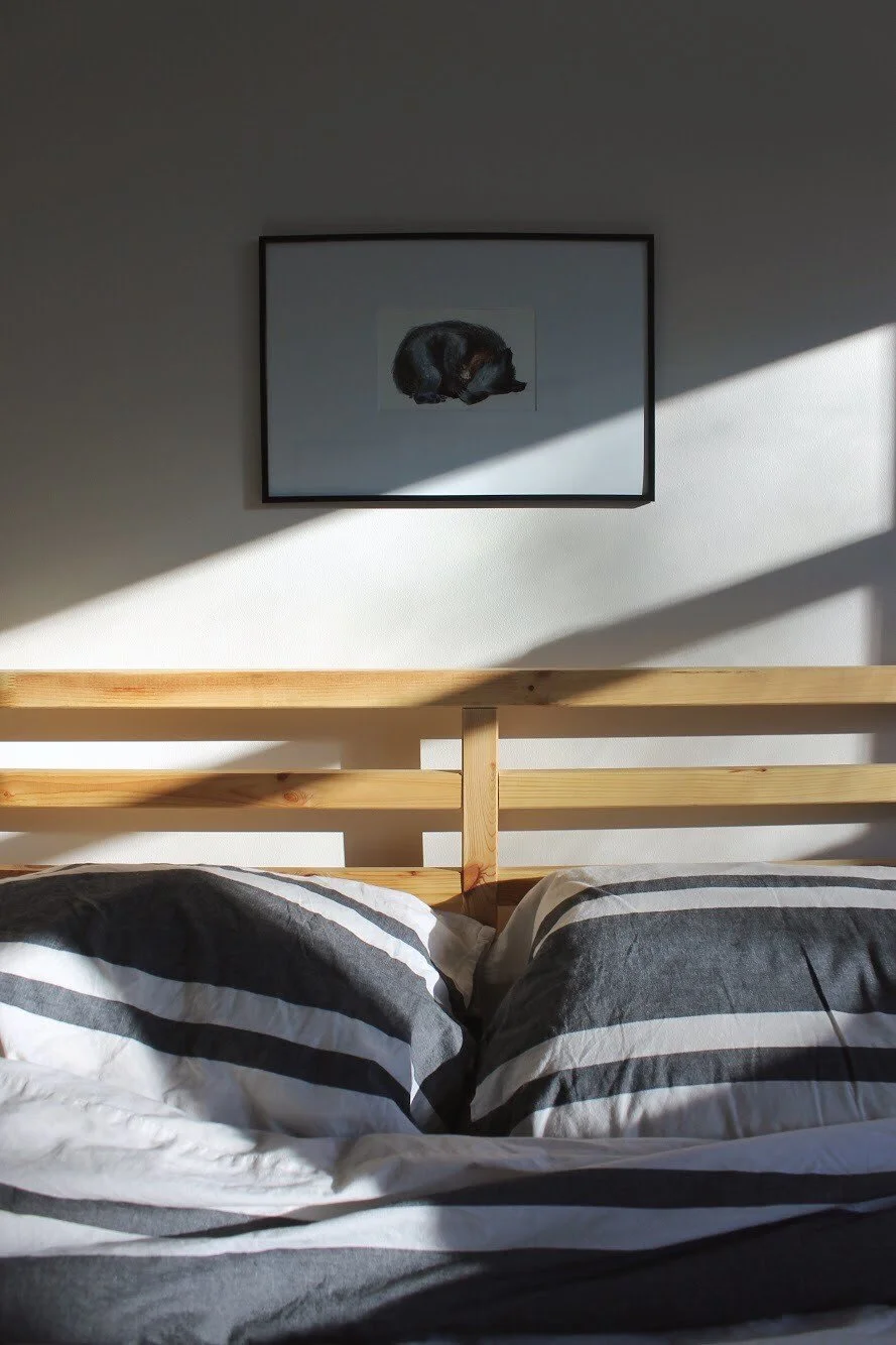 Simple things, like sunlight in my room, remind me of God’s presence in my life.    

— Emma