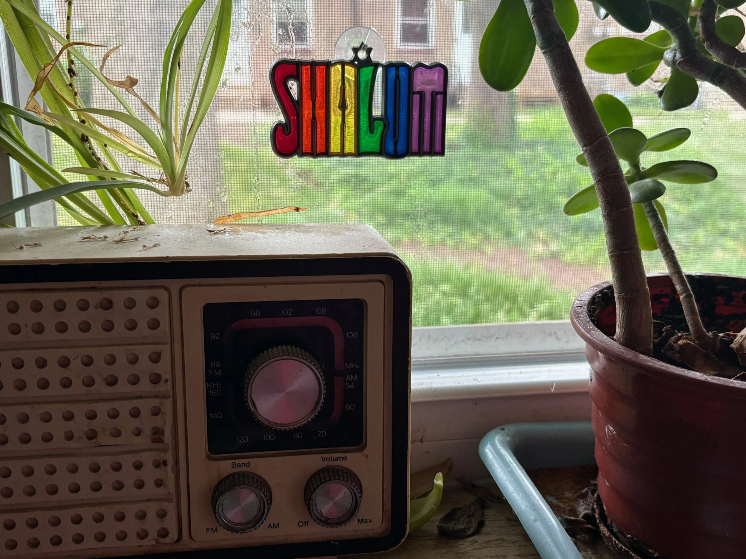 This is how Judaism shows up in the every day. Shalom means peace, hello and goodbye. And I like that. And it's old like that radio, but it's also alive like the plants around it.    — Rachel Gucwa