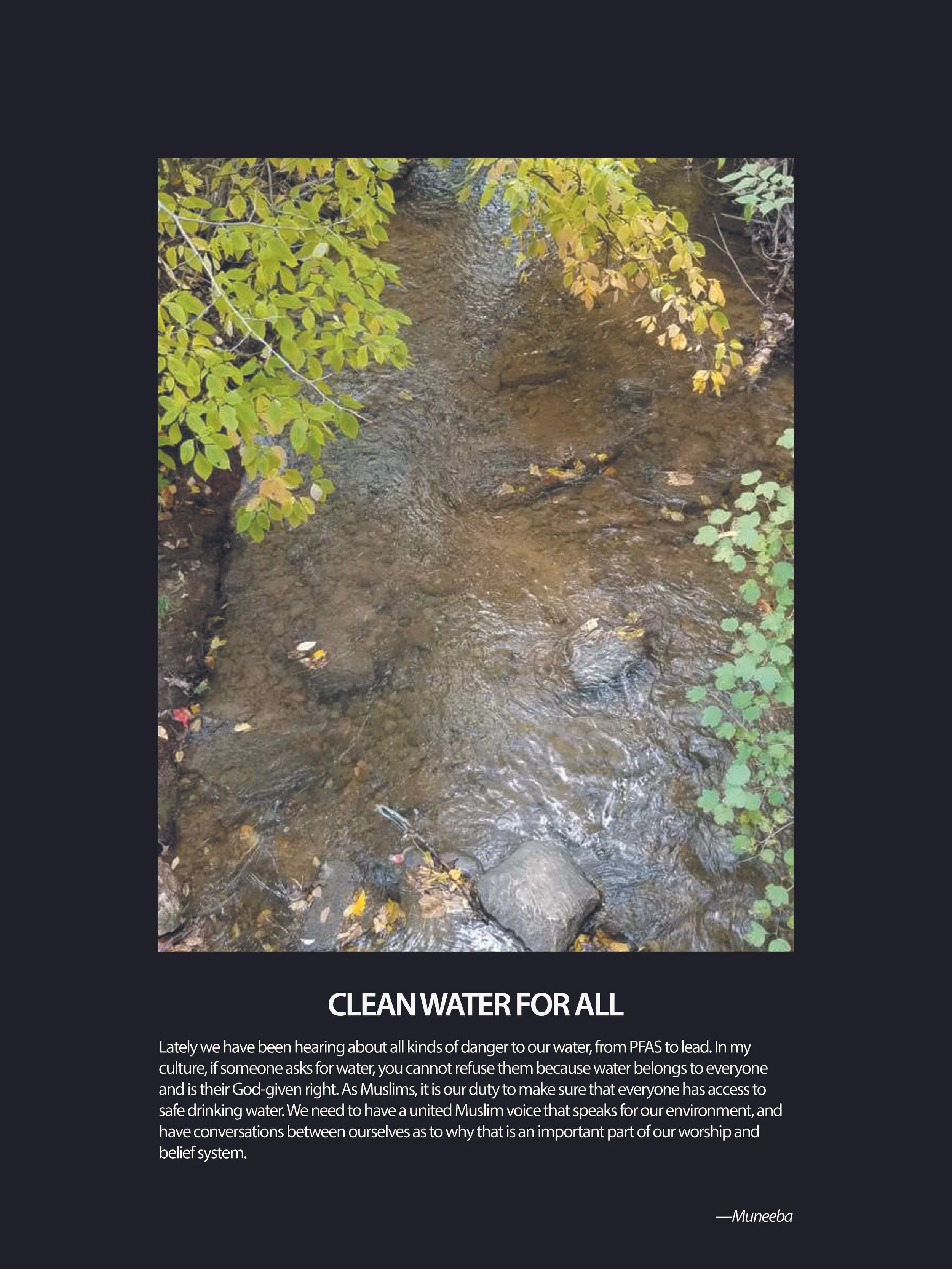GRR08-Water.jpeg