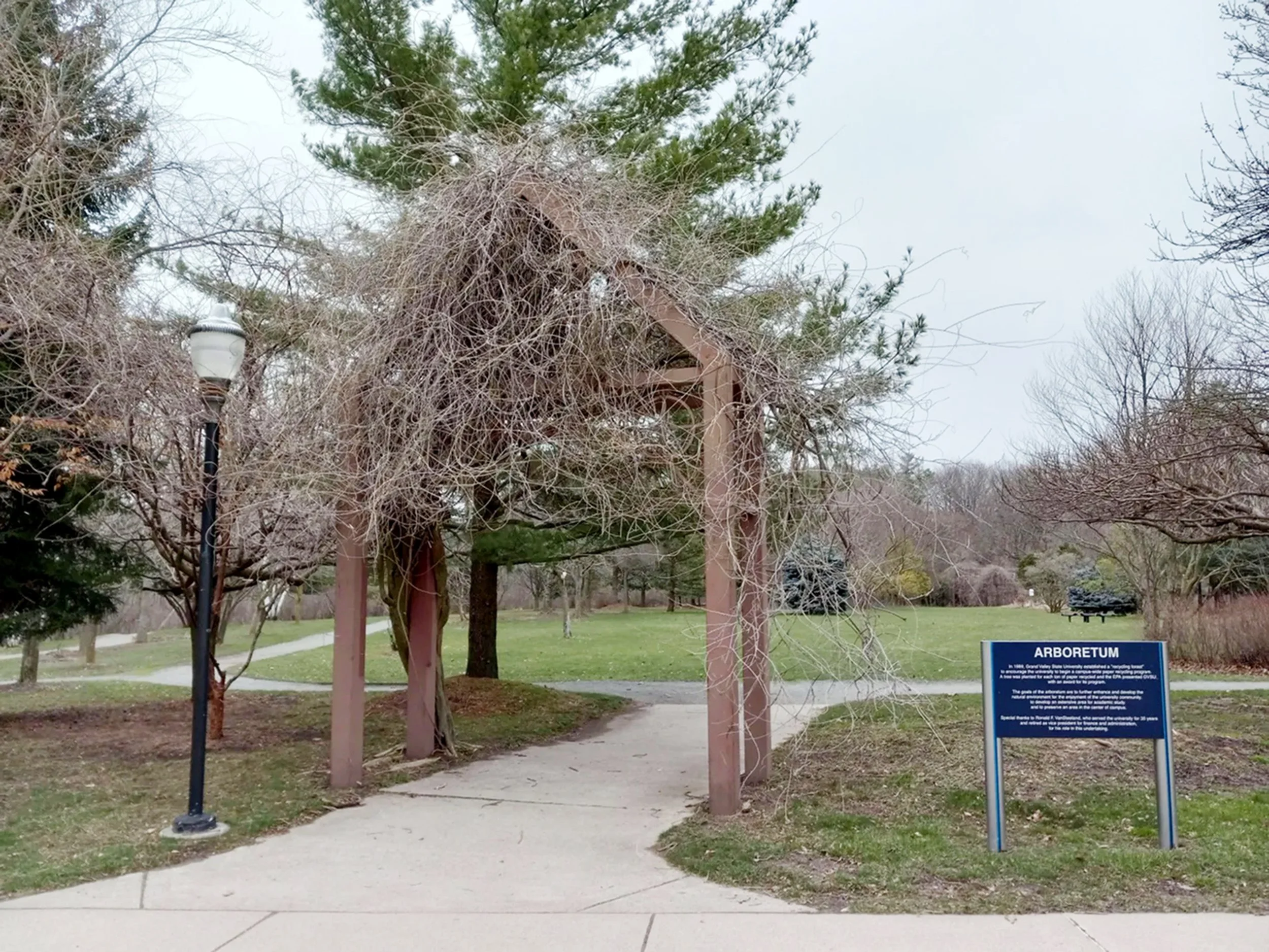 "This is the concrete walkway that connects the English buildings to the rest of campus. I make
use of it almost every weekday as I shuffle between my English classes in Lake Huron Hall and my history classes in Mackinac. It’s invaluable to me, but i