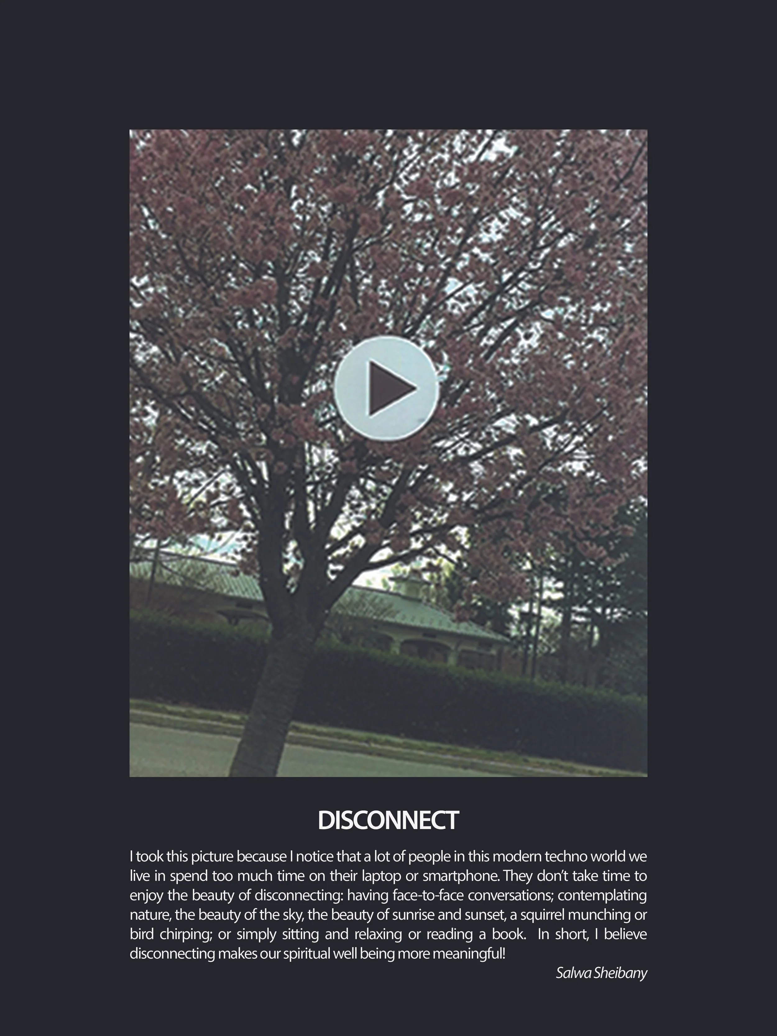RIC-4-Disconnect.jpeg