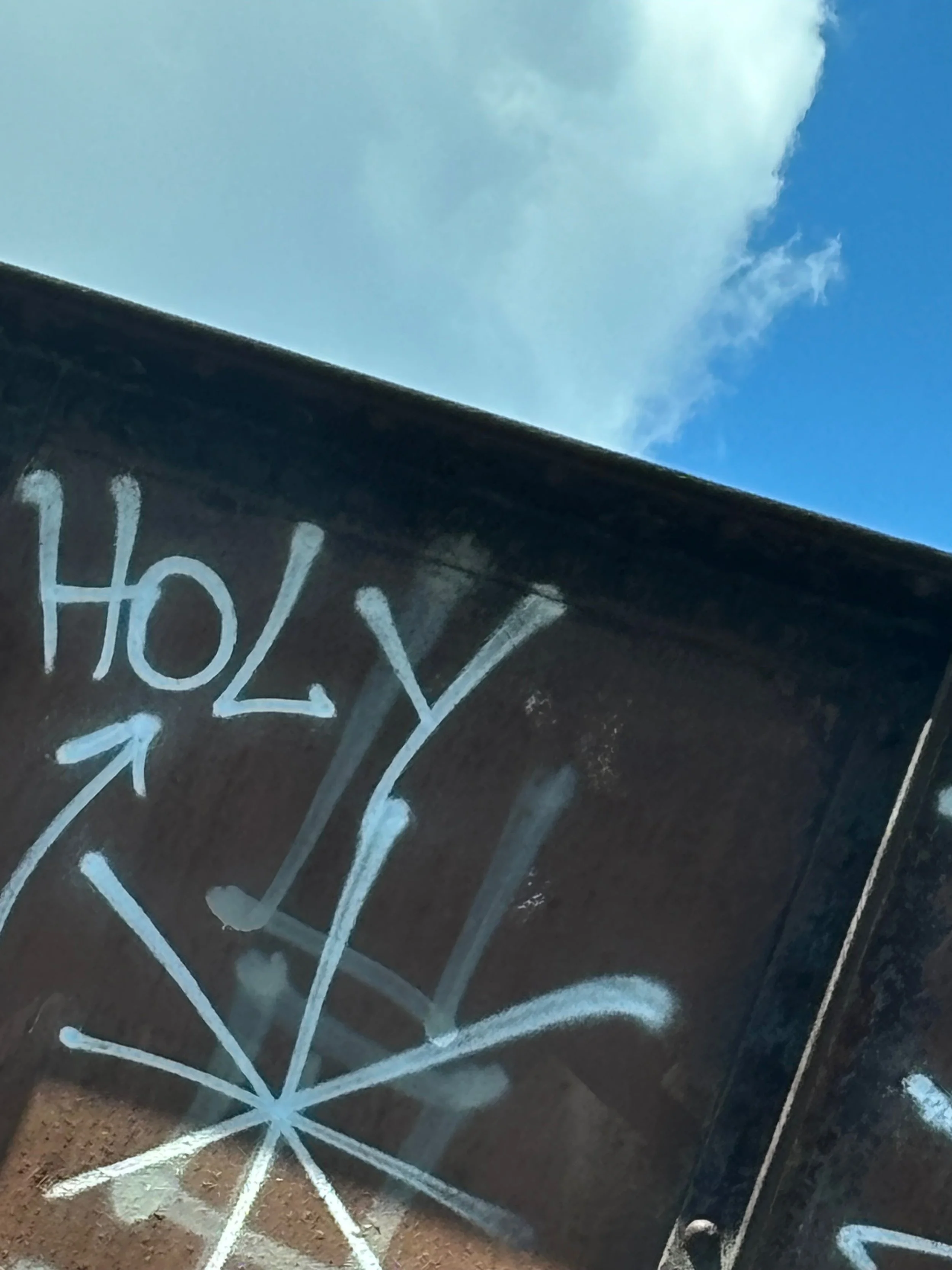 To be holy means to sense    
The precious sacred    
in the Every day    
— Rachel Gucwa