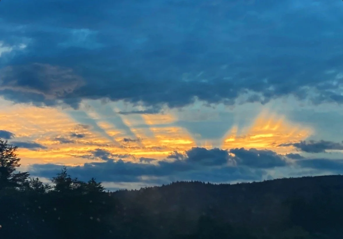 Sometimes God is loud    
“Here, I am.”    
Sometimes God is found    
In the silence    
— Rachel Gucwa