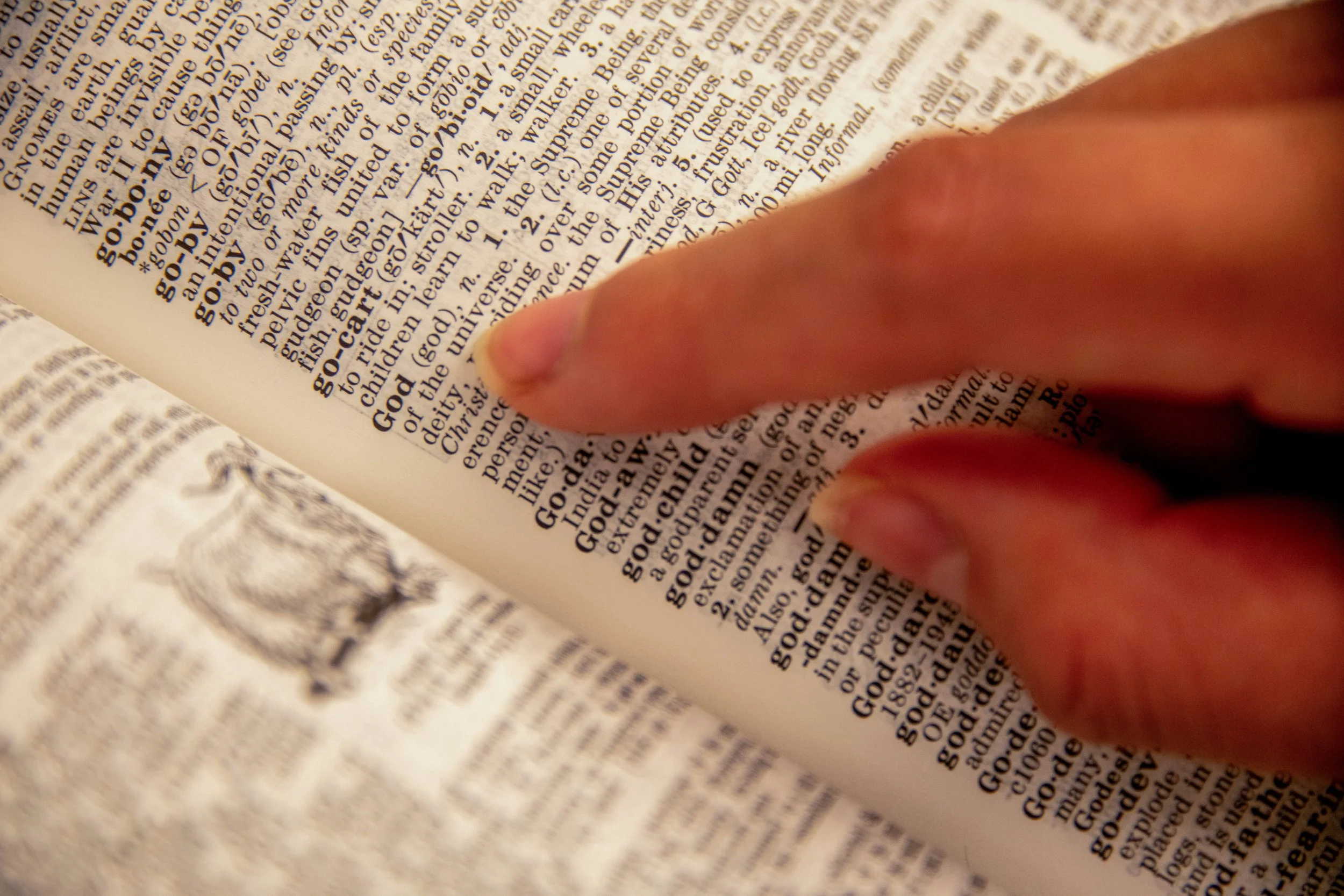 My childhood dictionary has been part of my life. My father used to get me dictionaries every year because I'm not an English speaker, and so we want to make sure I was, and so to me it kind of reminded me of my own and also with academics, balancing