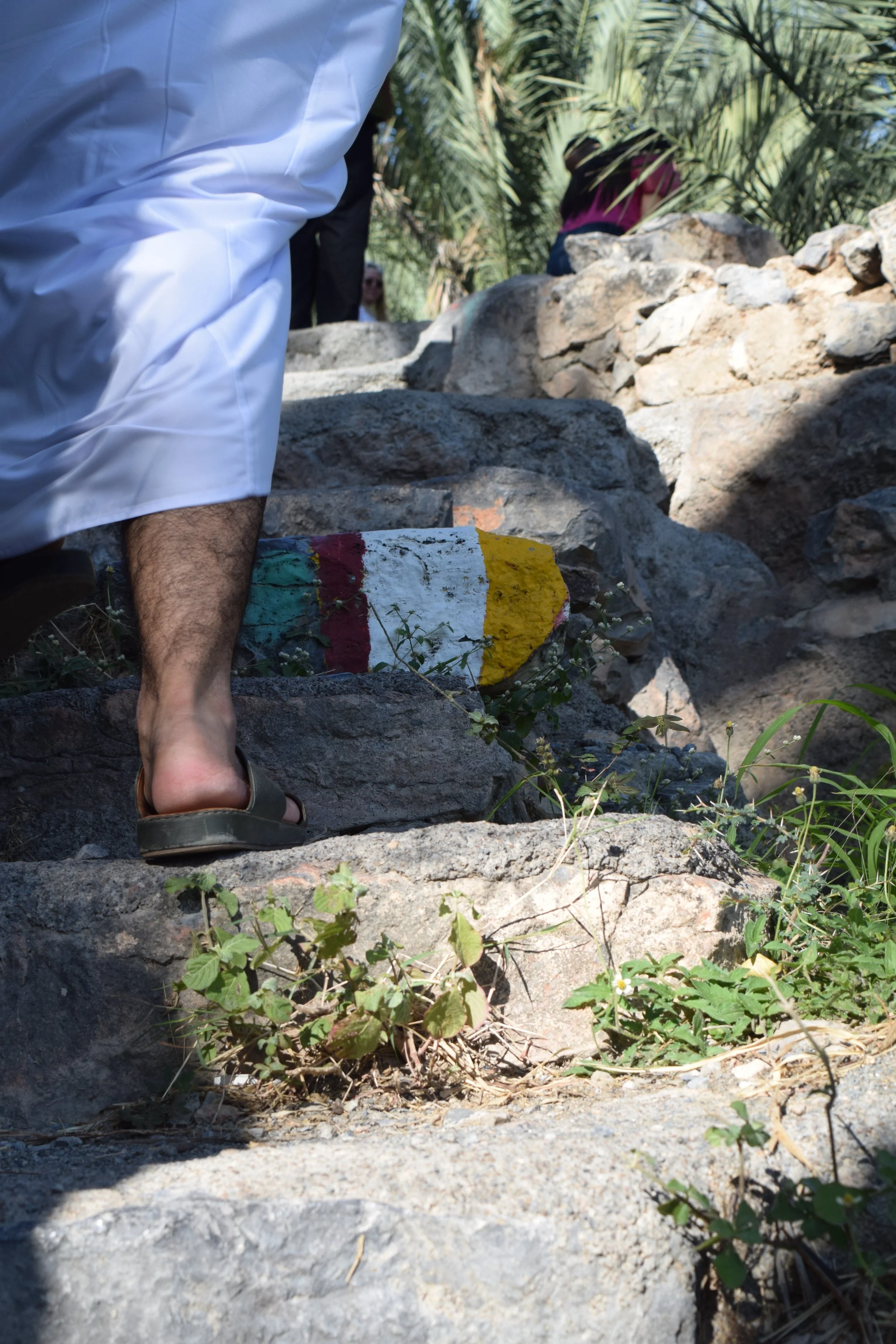 For me, this photograph represents taking steps toward progress and understanding in Oman. We all took this hike together, pushed through the hard parts, and enjoyed the cool falaj at the end. This can represent the beauty of interfaith work, which c