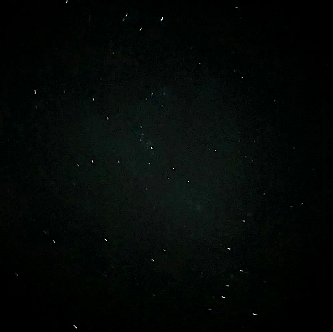 'Beauty will save the world' ~ Dostoevsky

"I find meaning and beauty in the night sky. I think that we lives in the ingratitude of
the beauty around us. If we just stop and look even a little beyond our own selfish
obsessions of life, we will find b