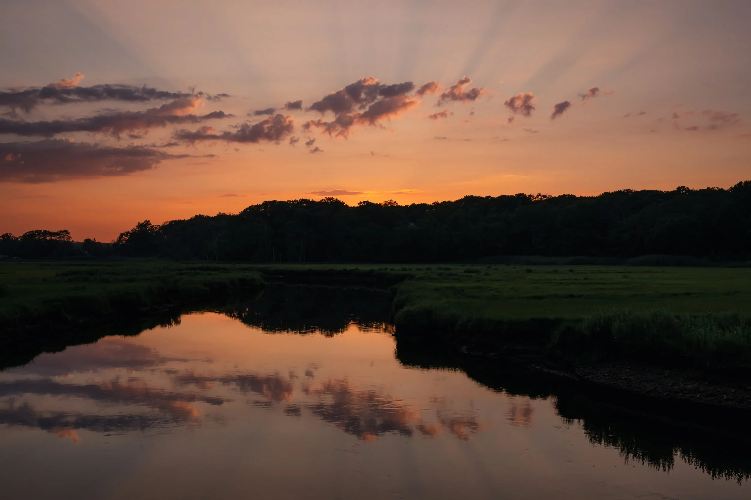 This image is of the marsh with the sky, flipped, but I realized I like it better this way. But I like it because it blurs the sense of what is real, making that unimportant, and instead awe and beauty leads.     — Julianne Gauron