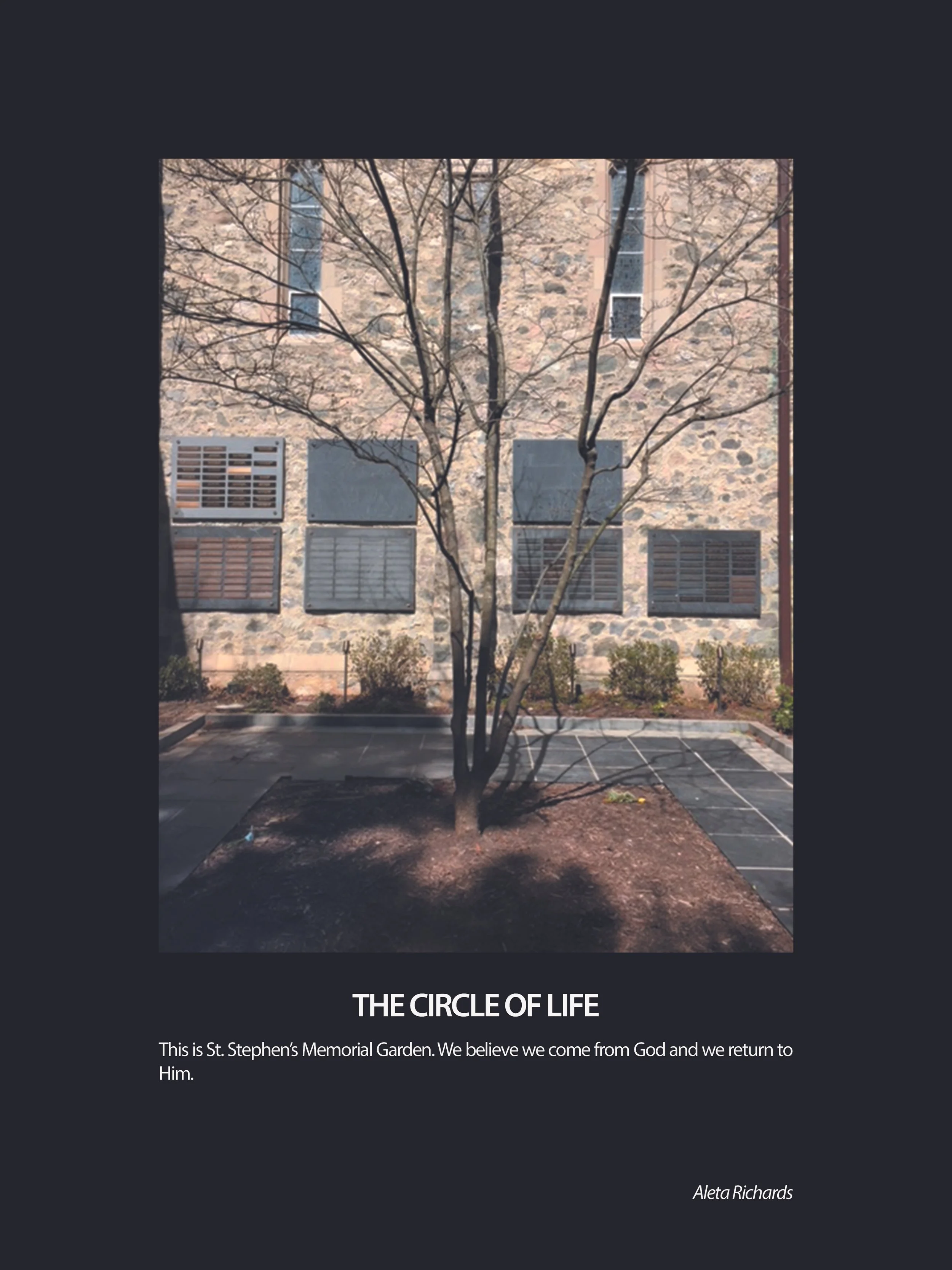 RIC-3-CircleofLife.jpeg