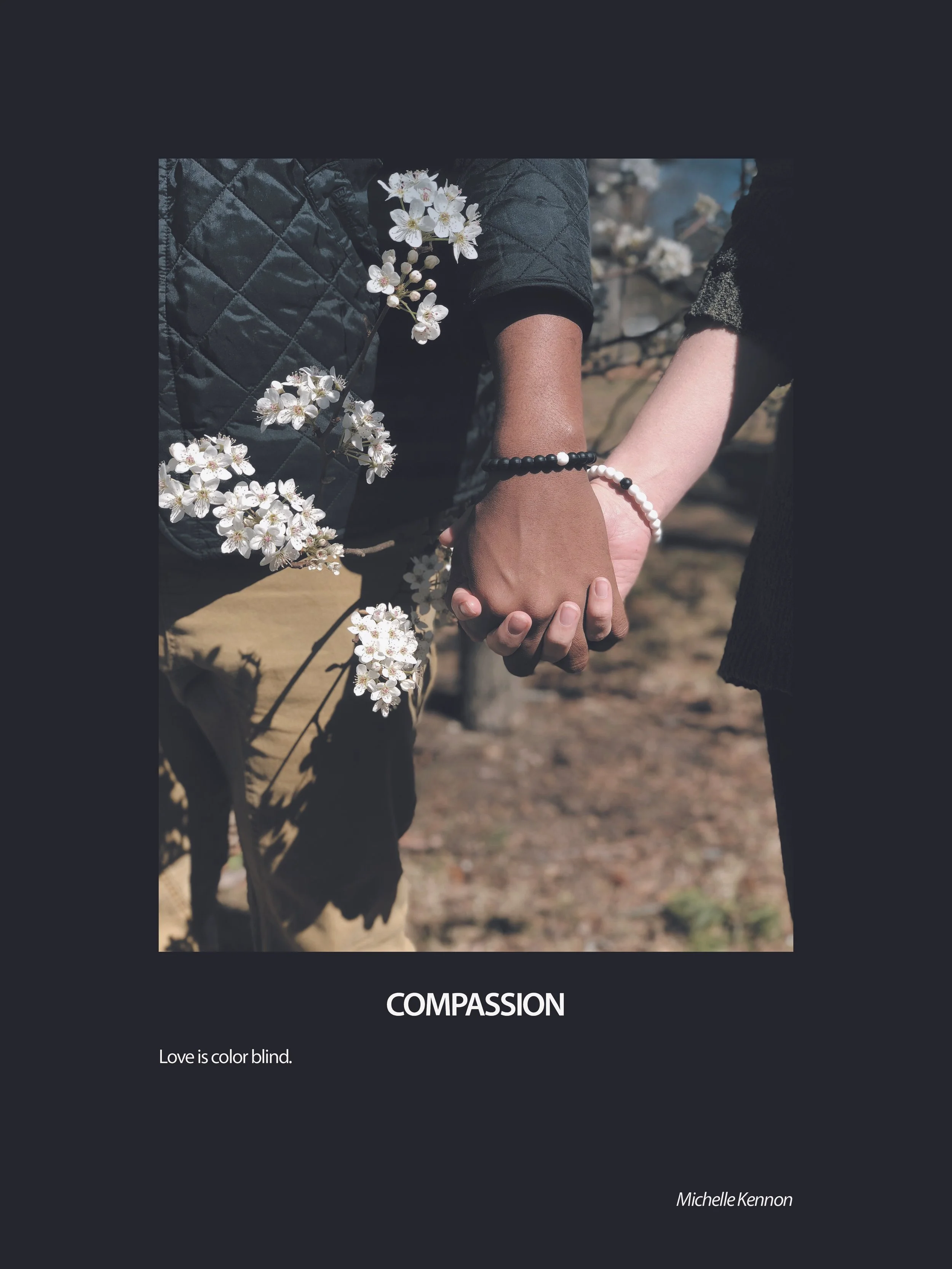 RIC-6D-COMPASSION.jpeg