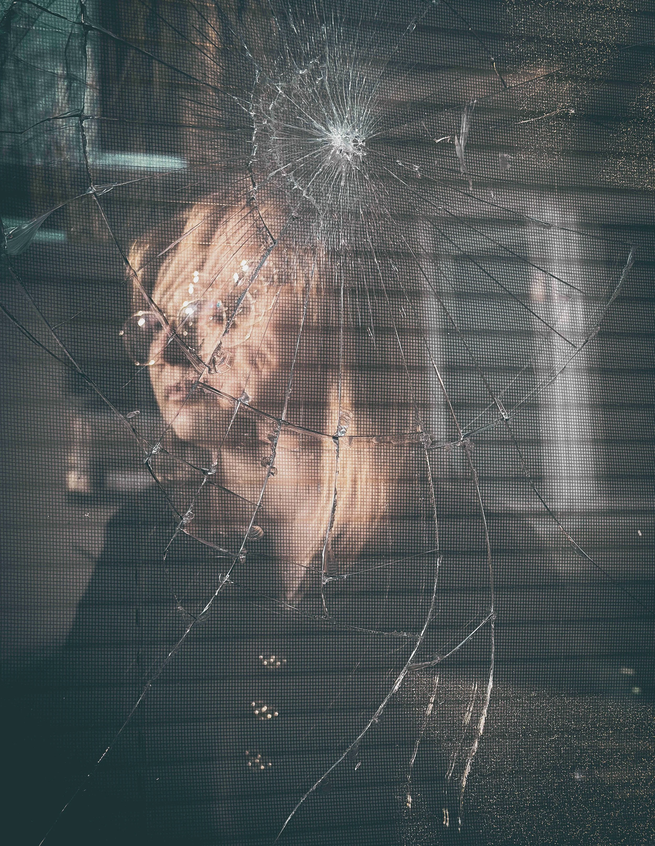 "Distortions and internal conflicts and challenges that disrupt my sense of belonging. A fractured identity struggling to connect the pieces to the larger puzzle. Rejection, judgment, exclusion not only from others but especially myself. A sense of s