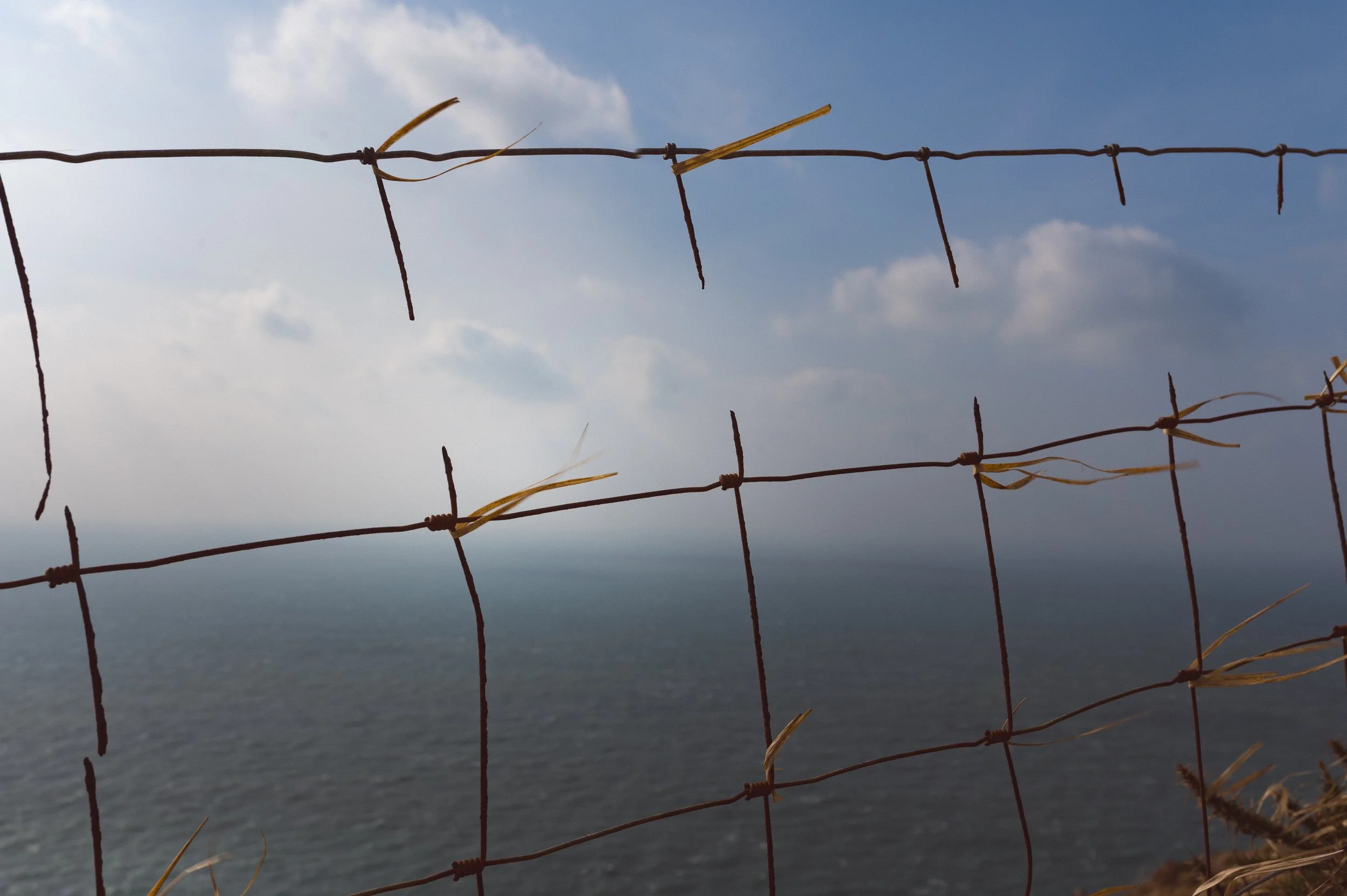 These pieces of grass grasp they were stuck to the fence and were buffeted in the wind. It looked like something familiar, I think we have all felt this way in hard times in our lives. Like we are just hanging on, trying to remember that things will 